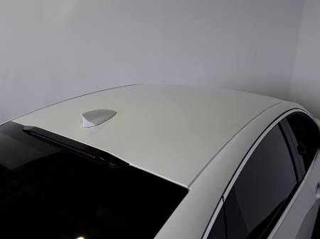 Showcase Image