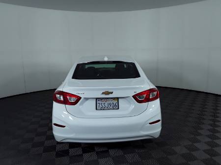 Showcase Image