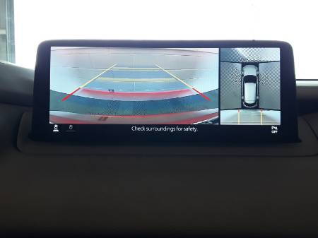 Showcase Image