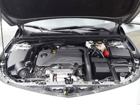Showcase Image