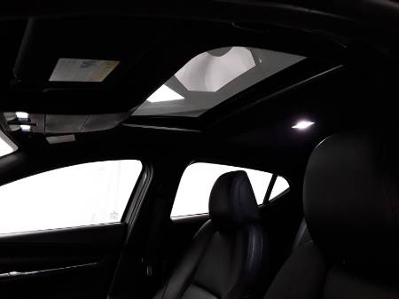 Showcase Image