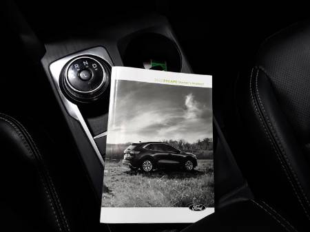 Showcase Image