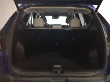 Showcase Image