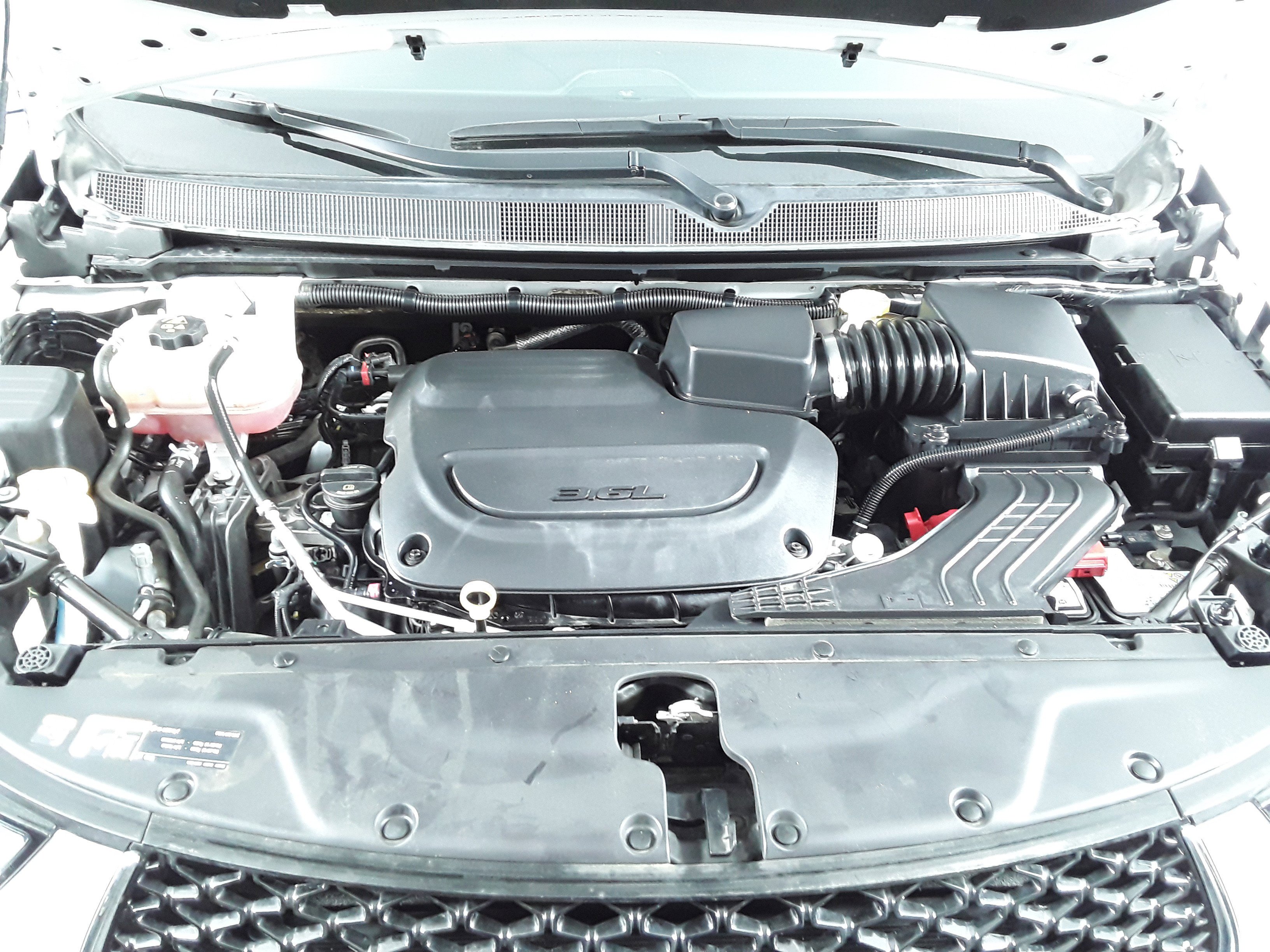 Showcase Image