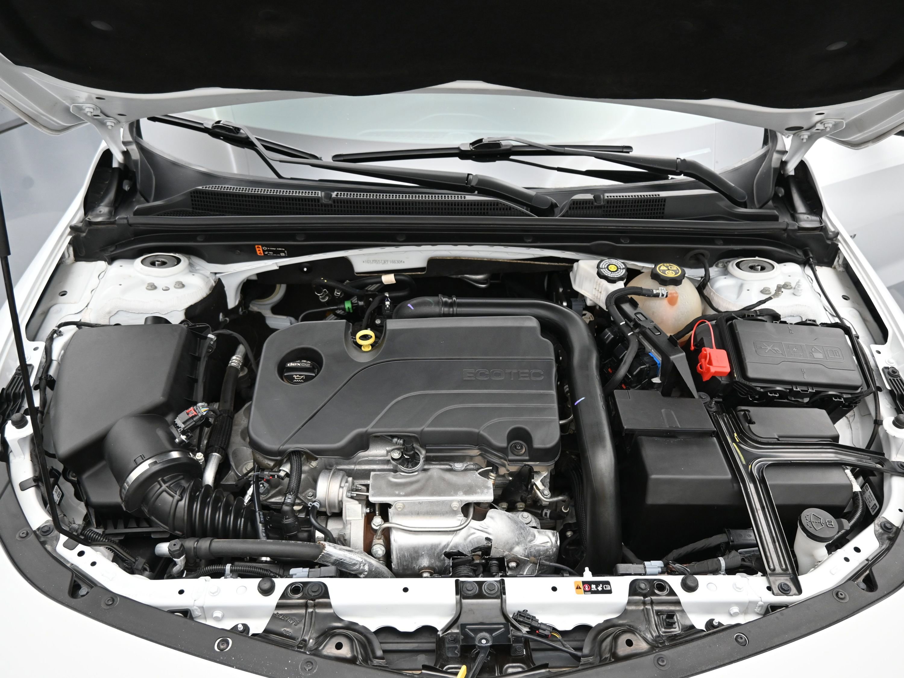 Showcase Image