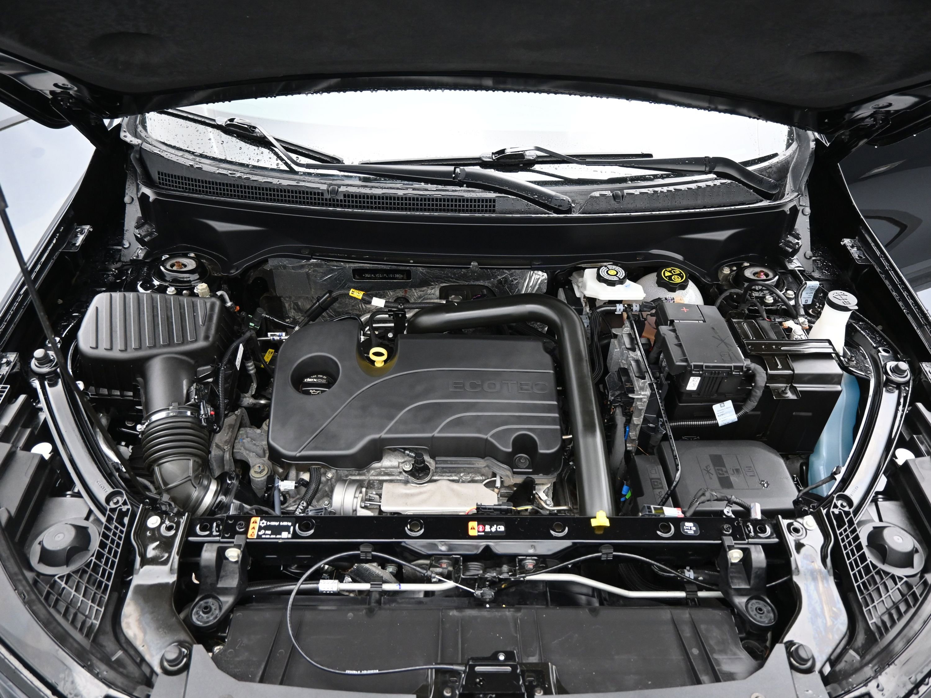 Showcase Image