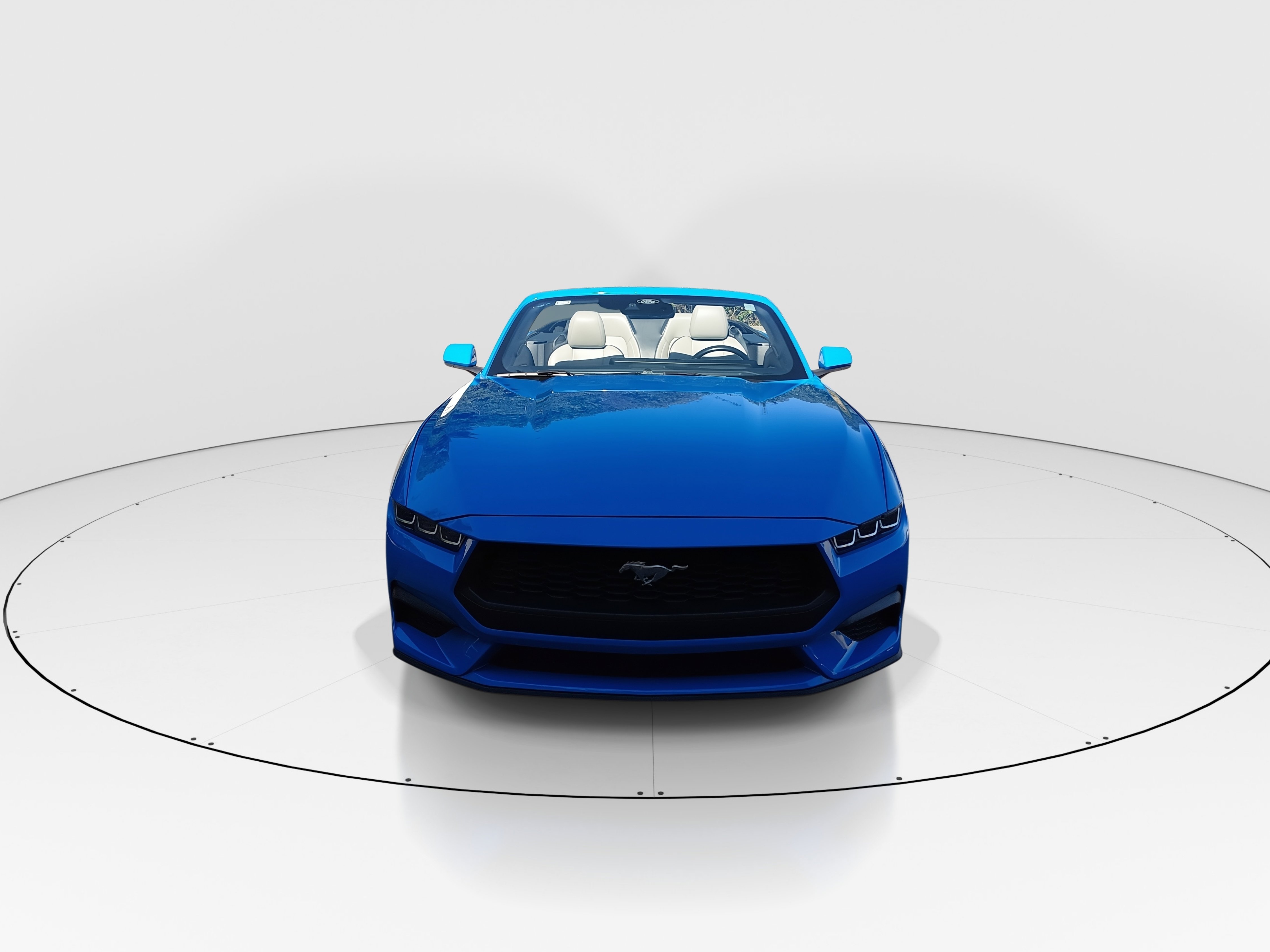 Showcase Image