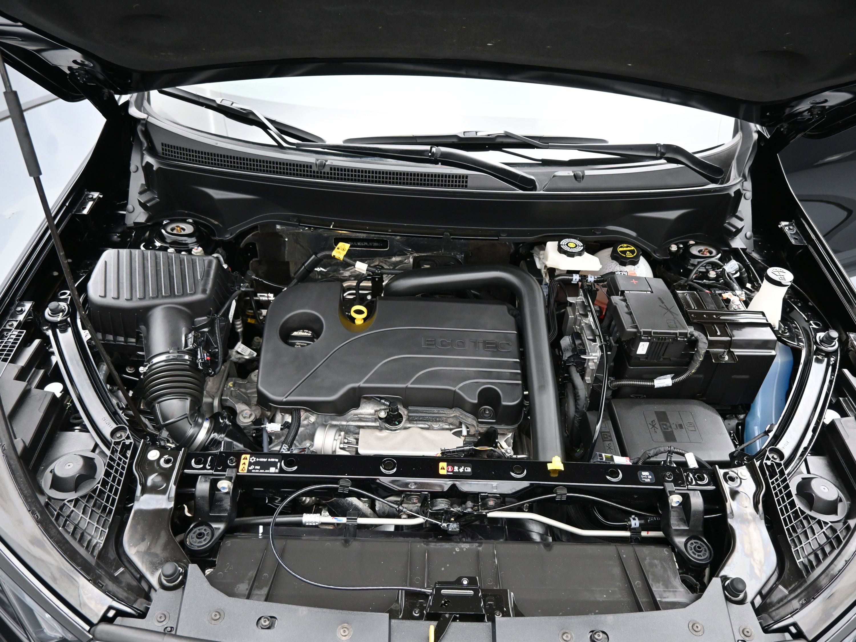 Showcase Image