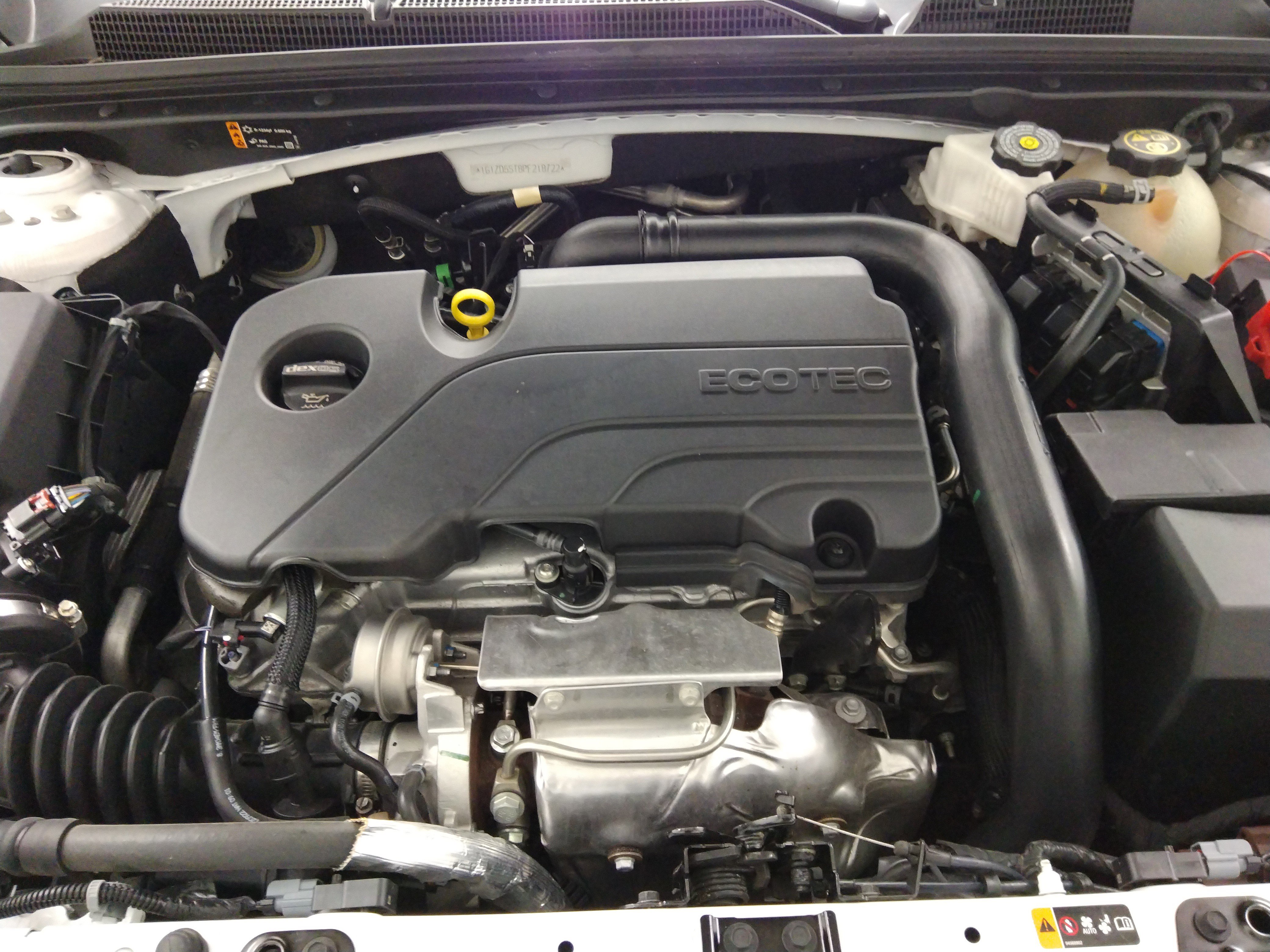 Showcase Image