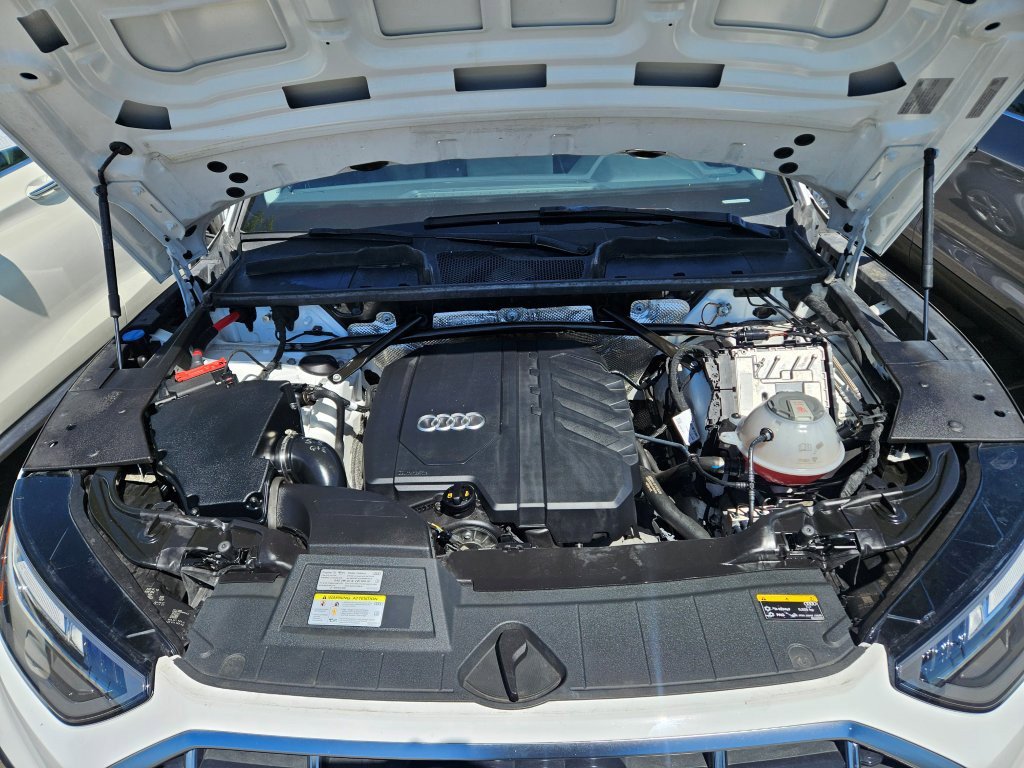 Showcase Image