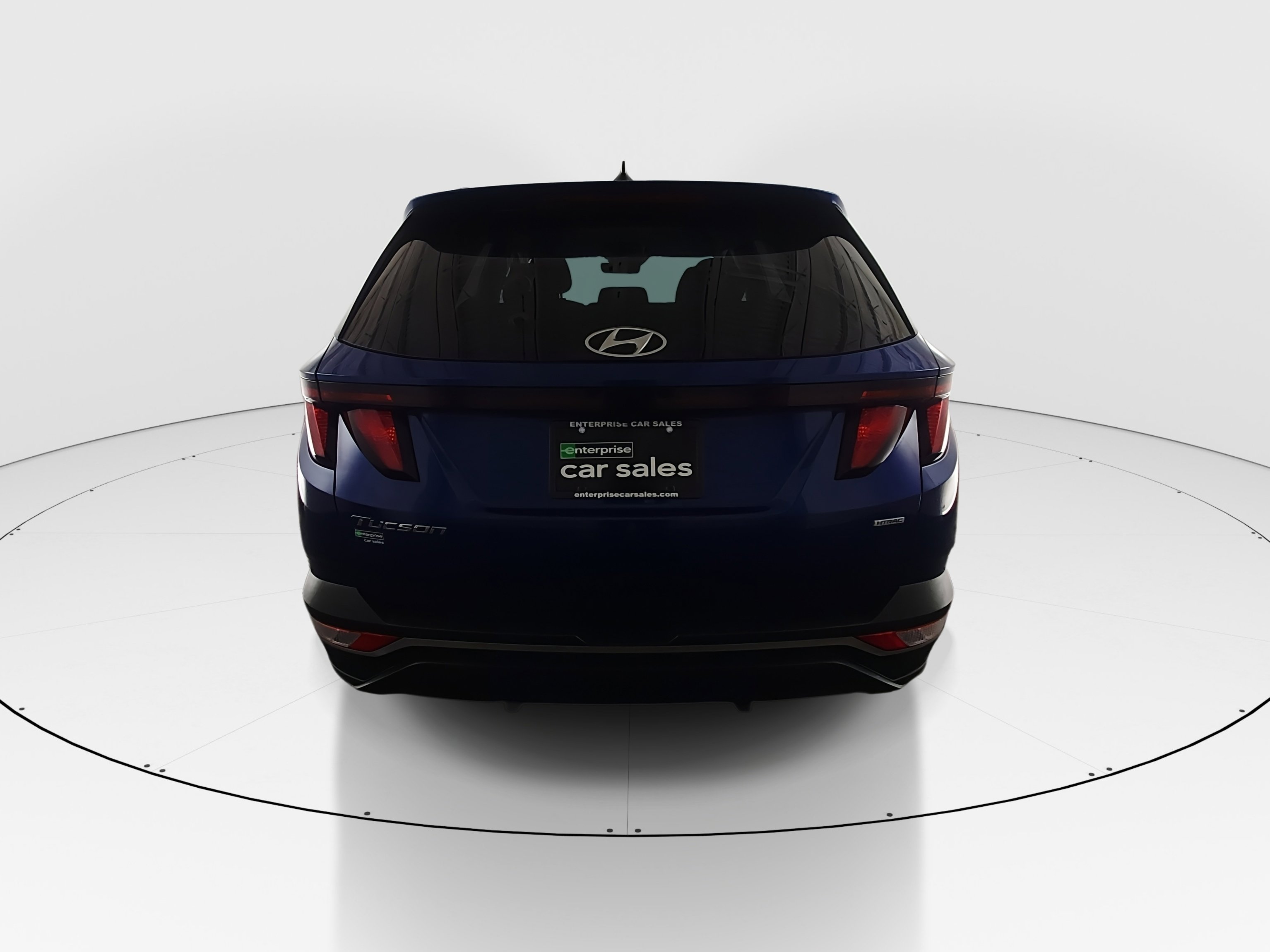 Showcase Image