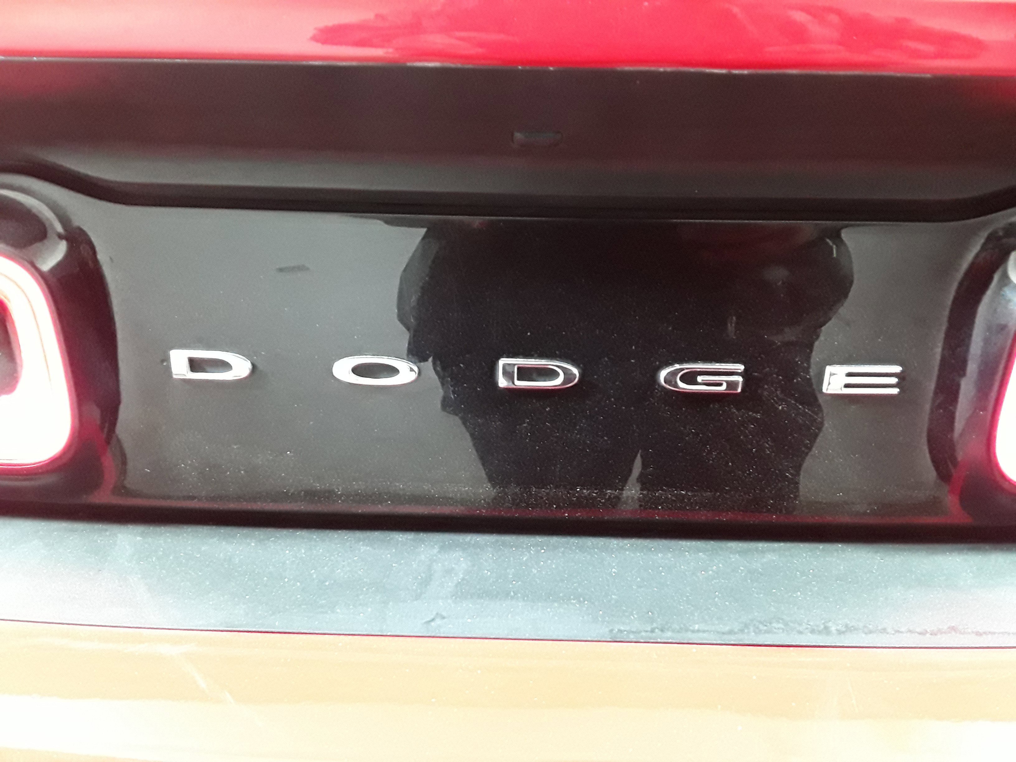 Showcase Image