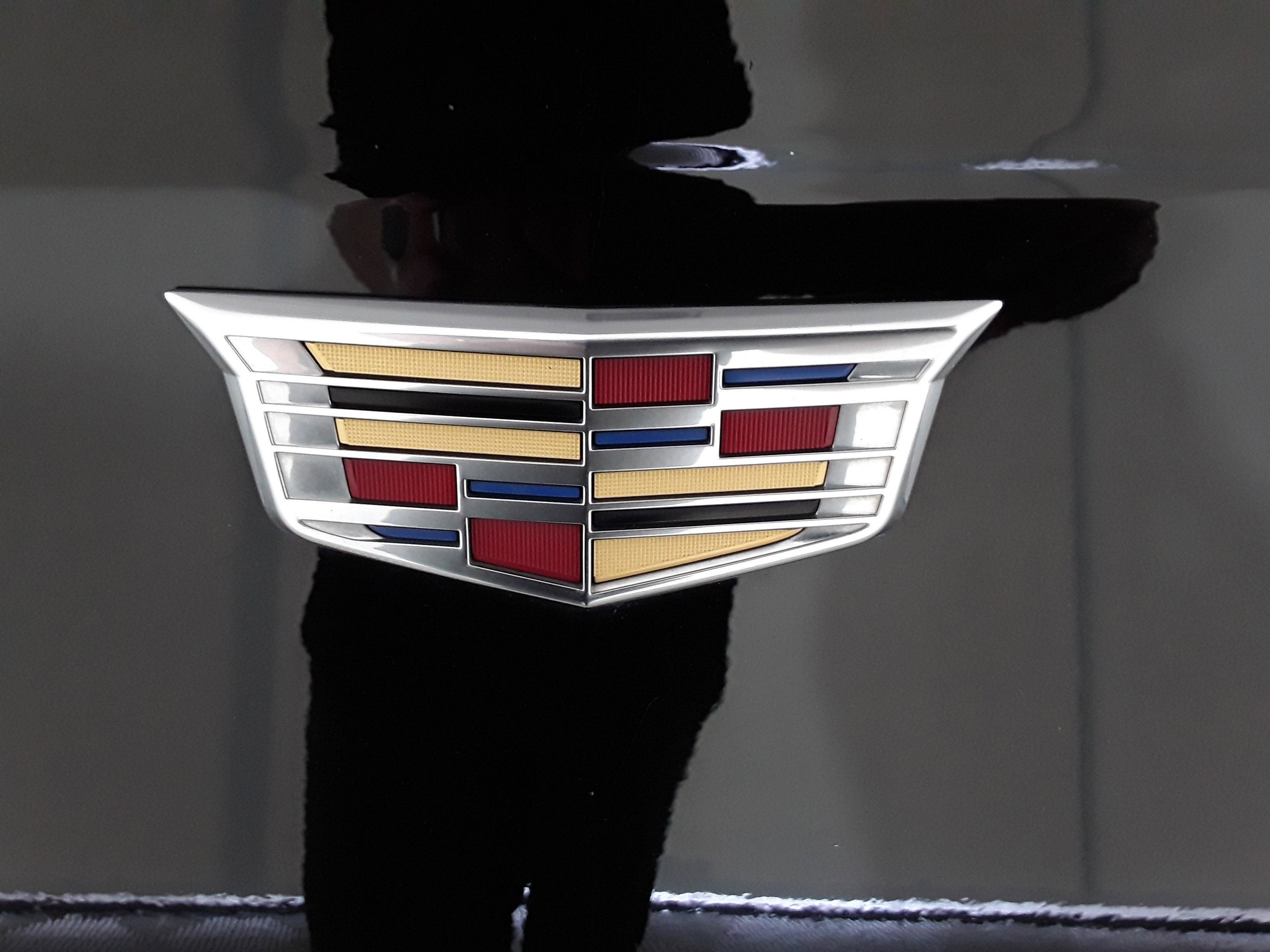 Showcase Image
