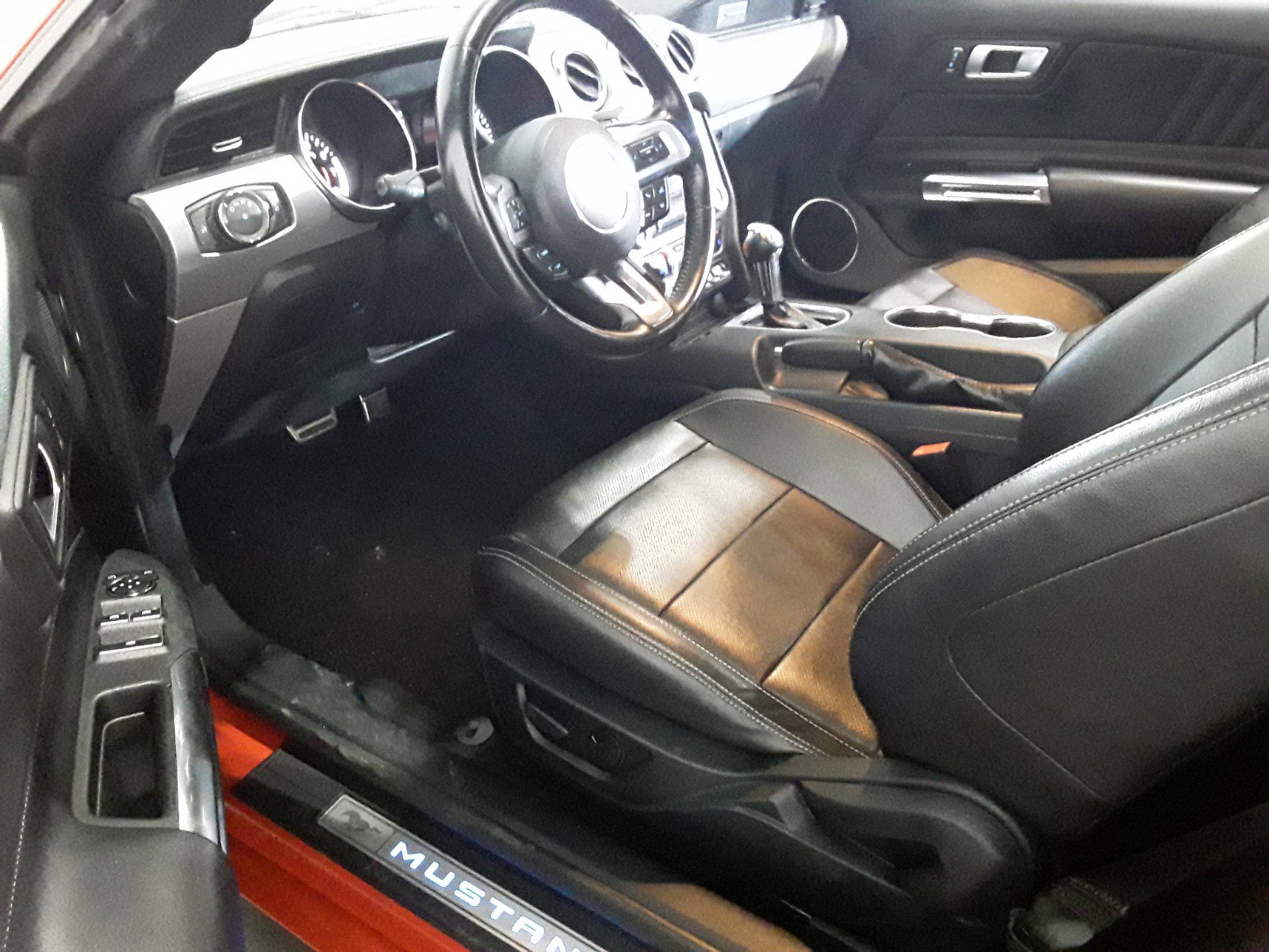 Showcase Image