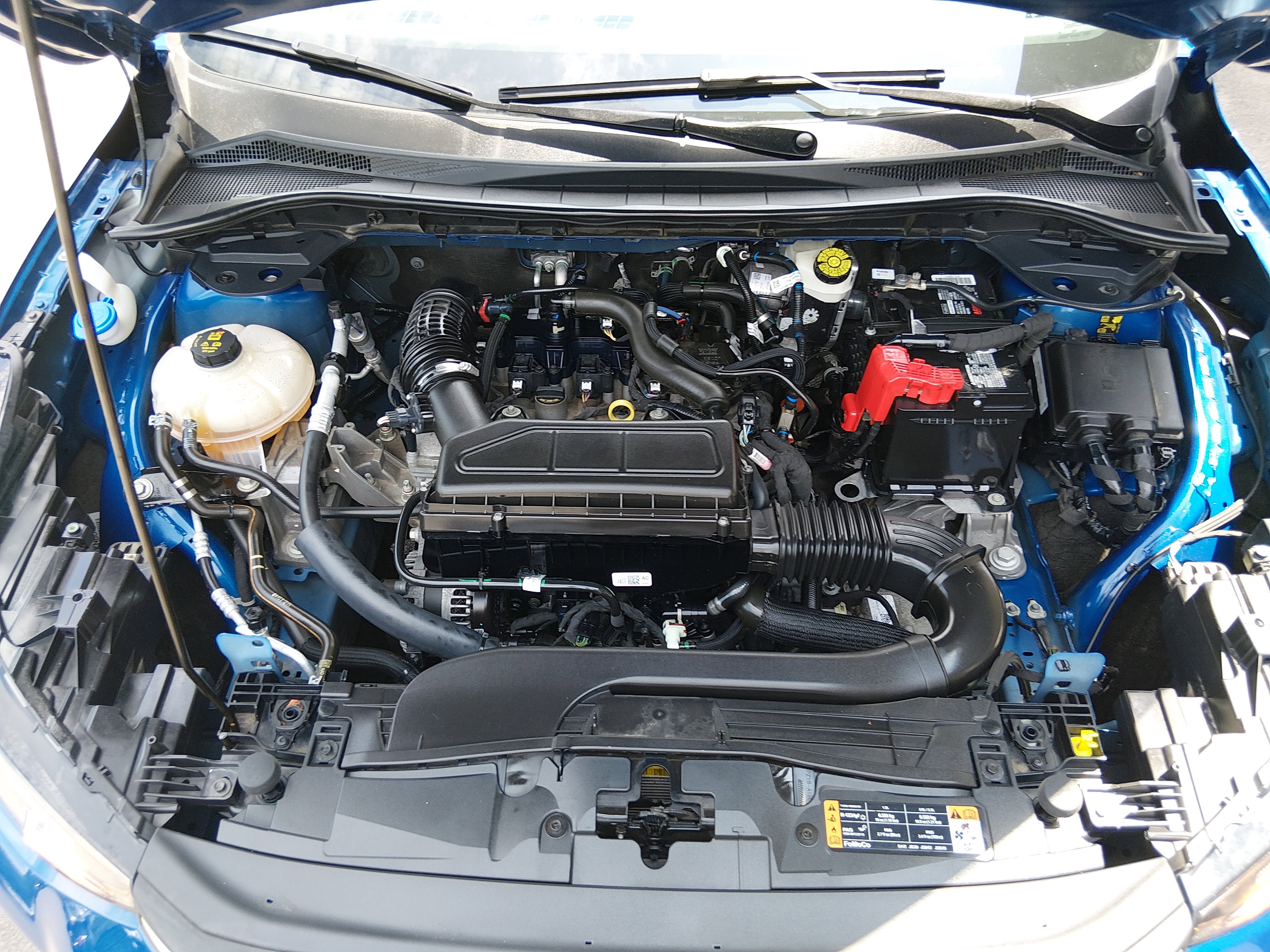 Showcase Image