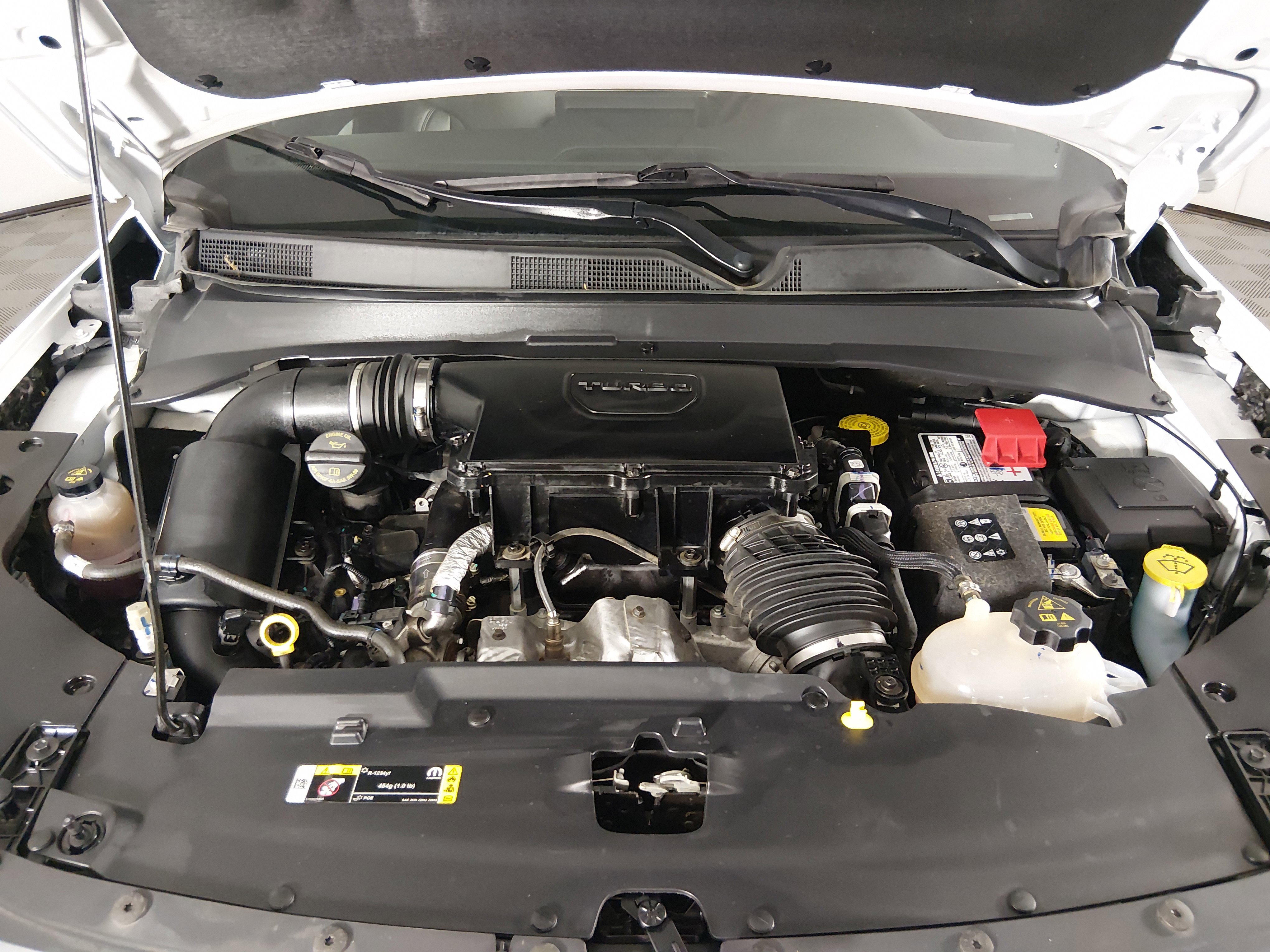 Showcase Image