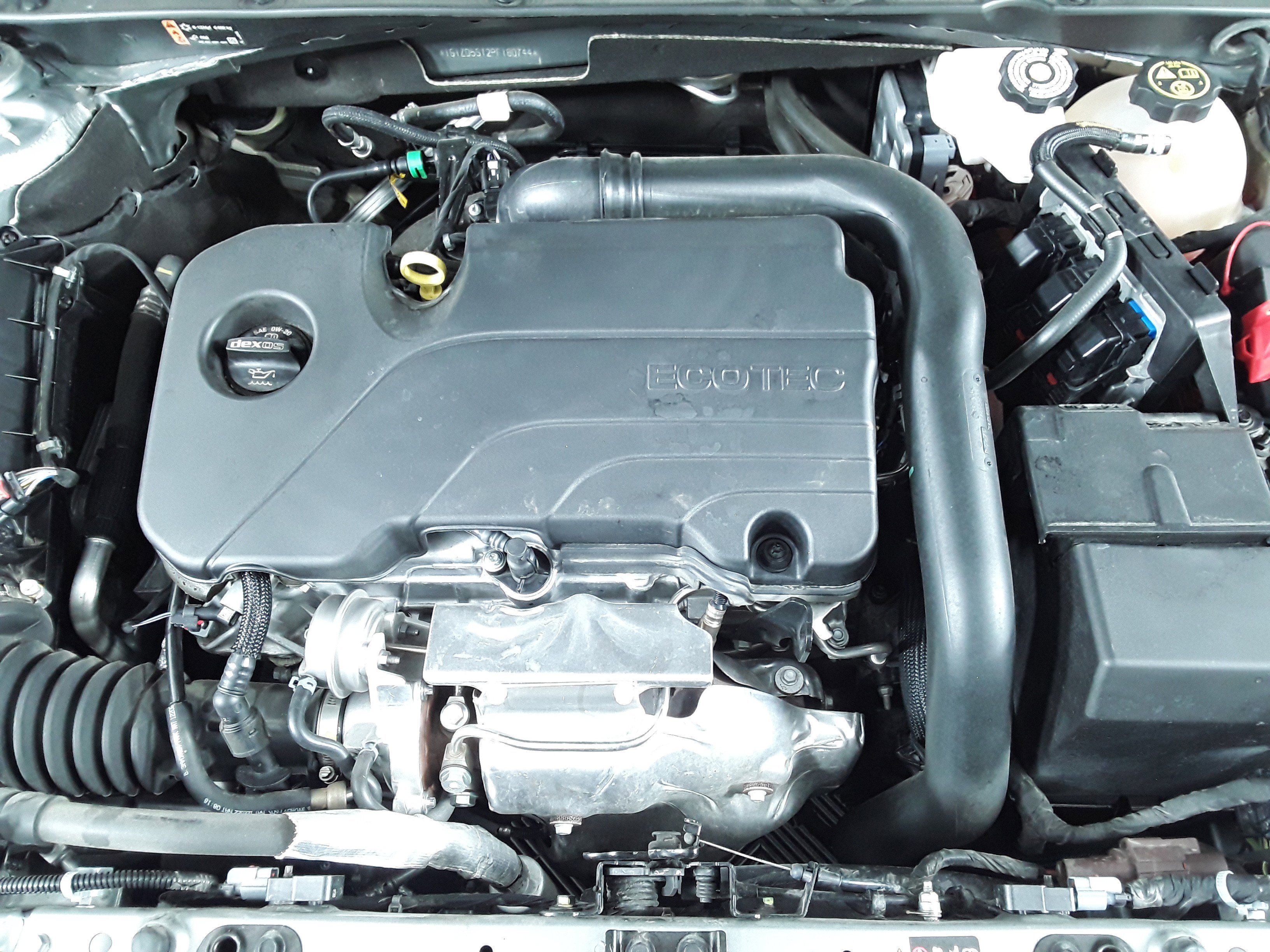 Showcase Image