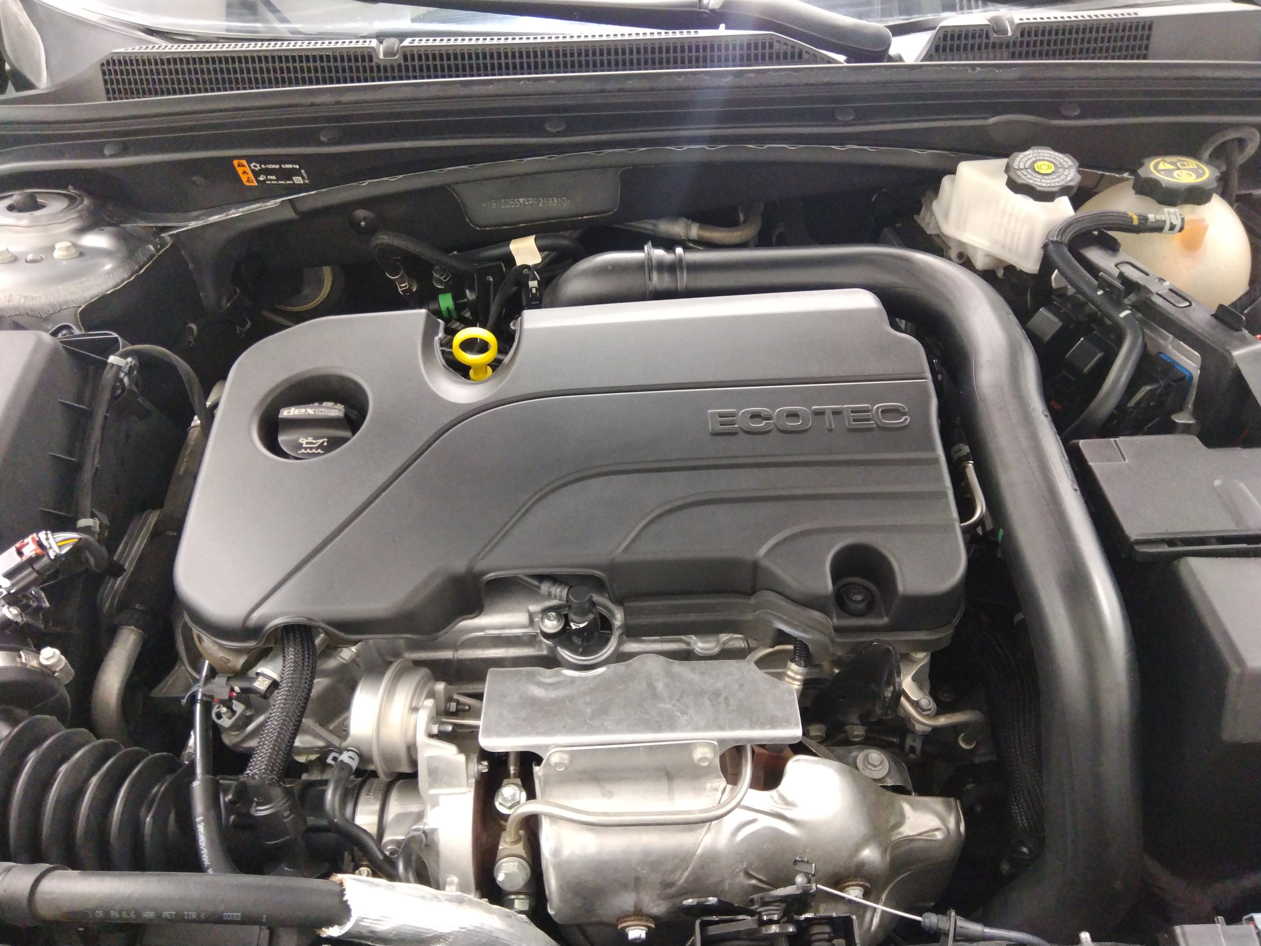 Showcase Image