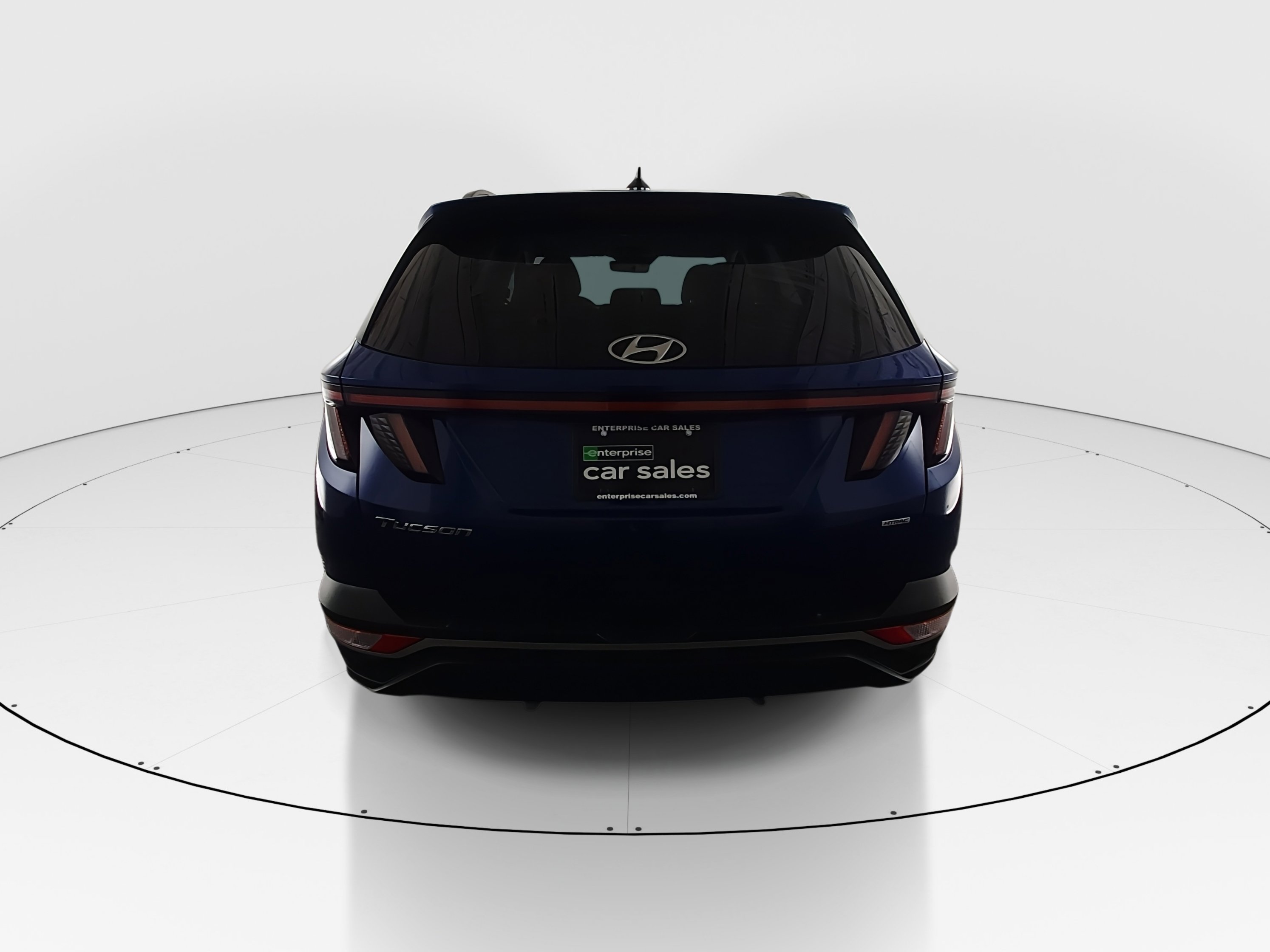 Showcase Image