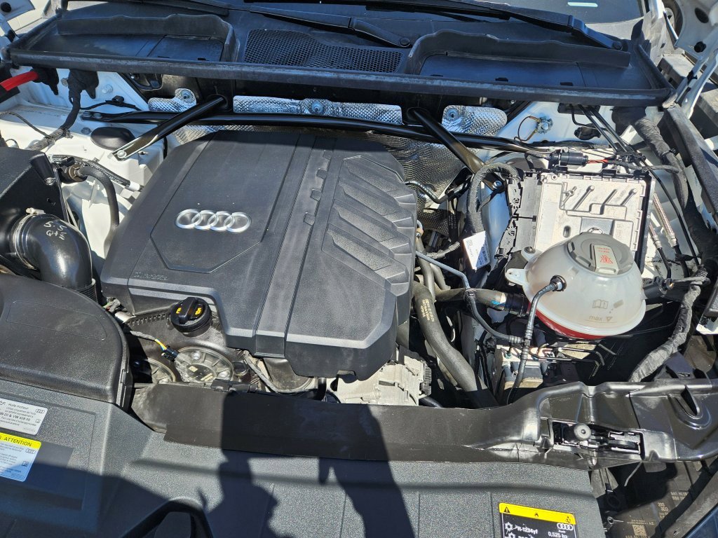 Showcase Image