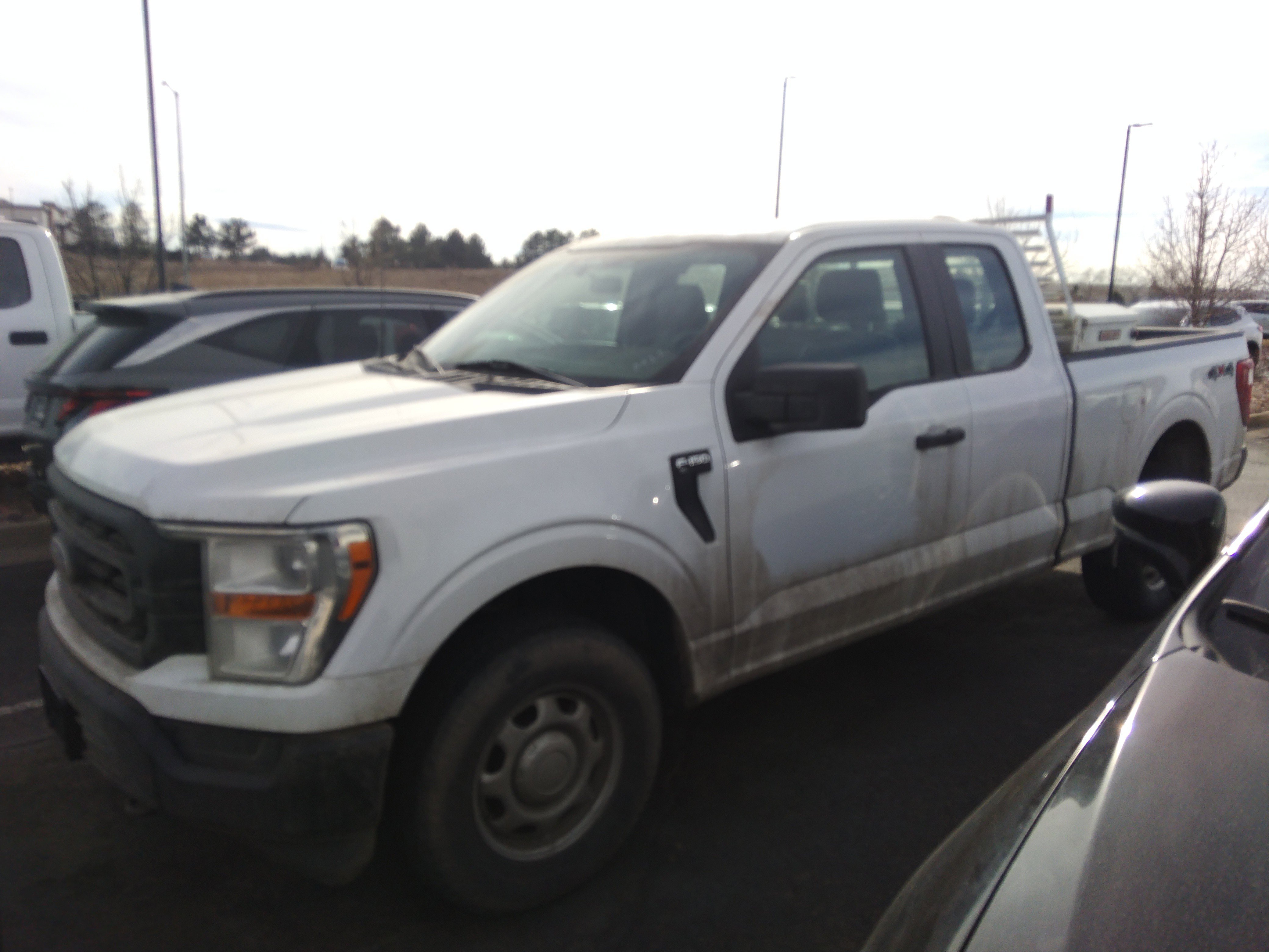 Used 2022 Ford F-150 XL 4WD SuperCab 6.5' Box