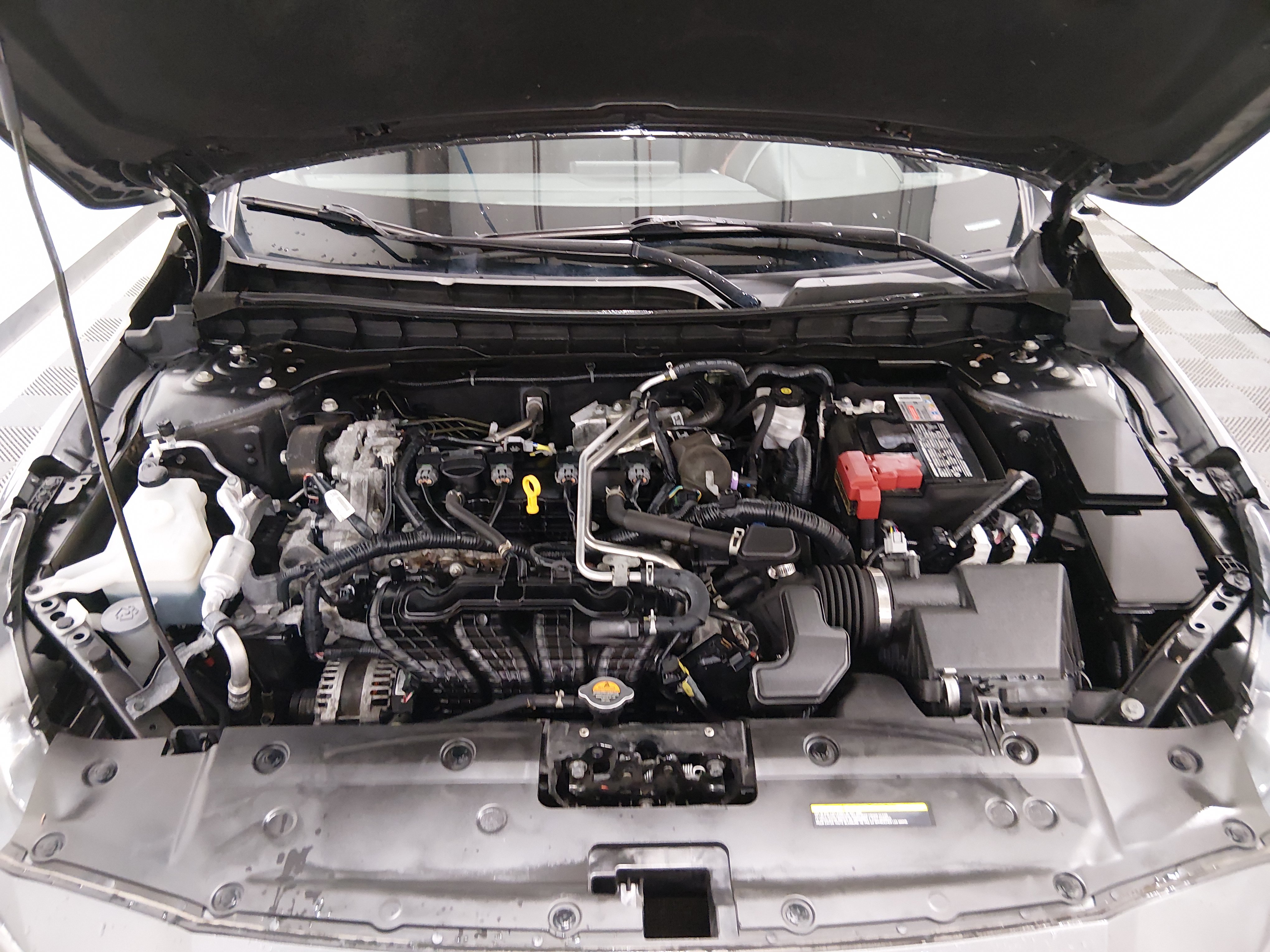 Showcase Image