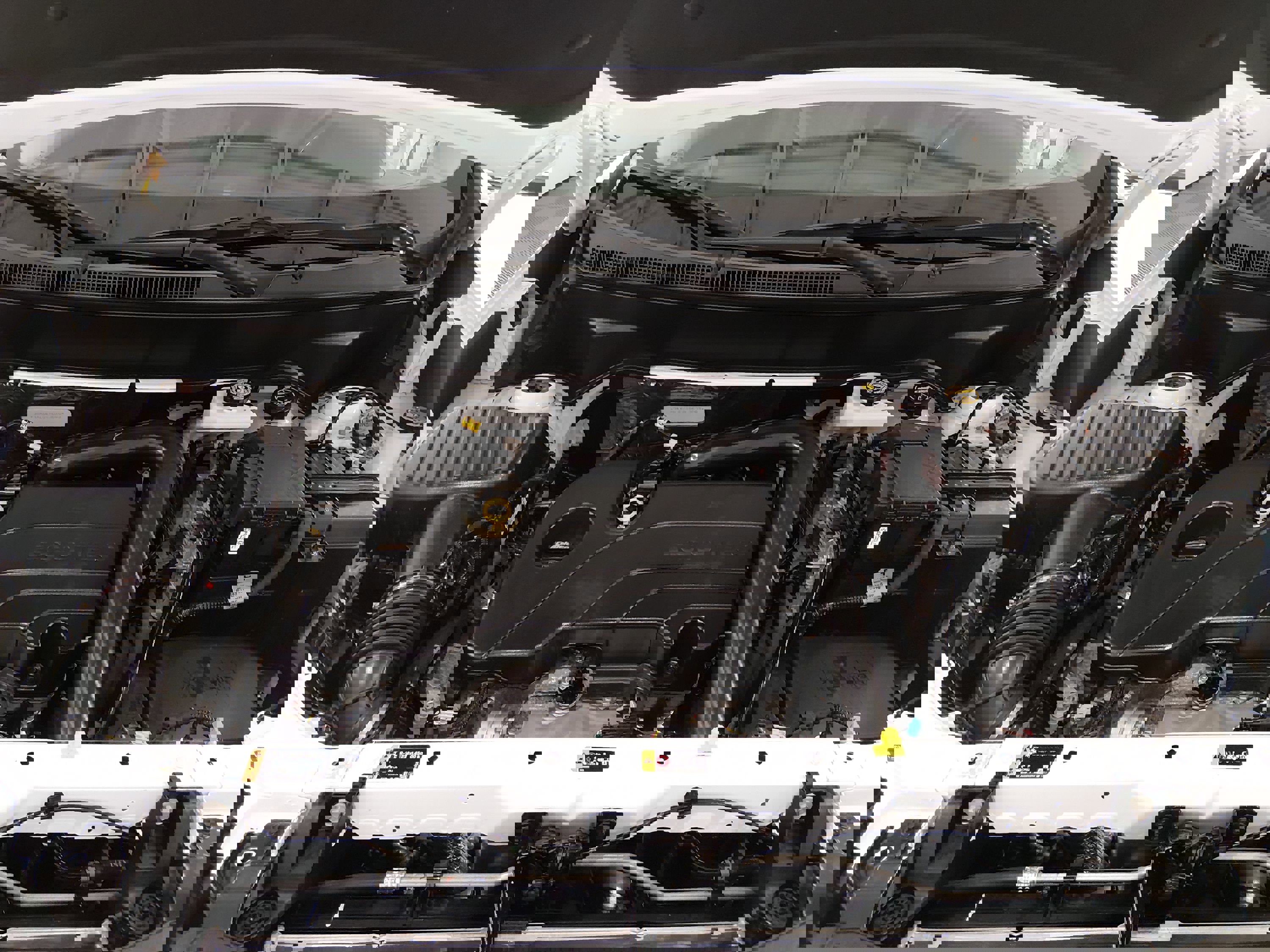 Showcase Image