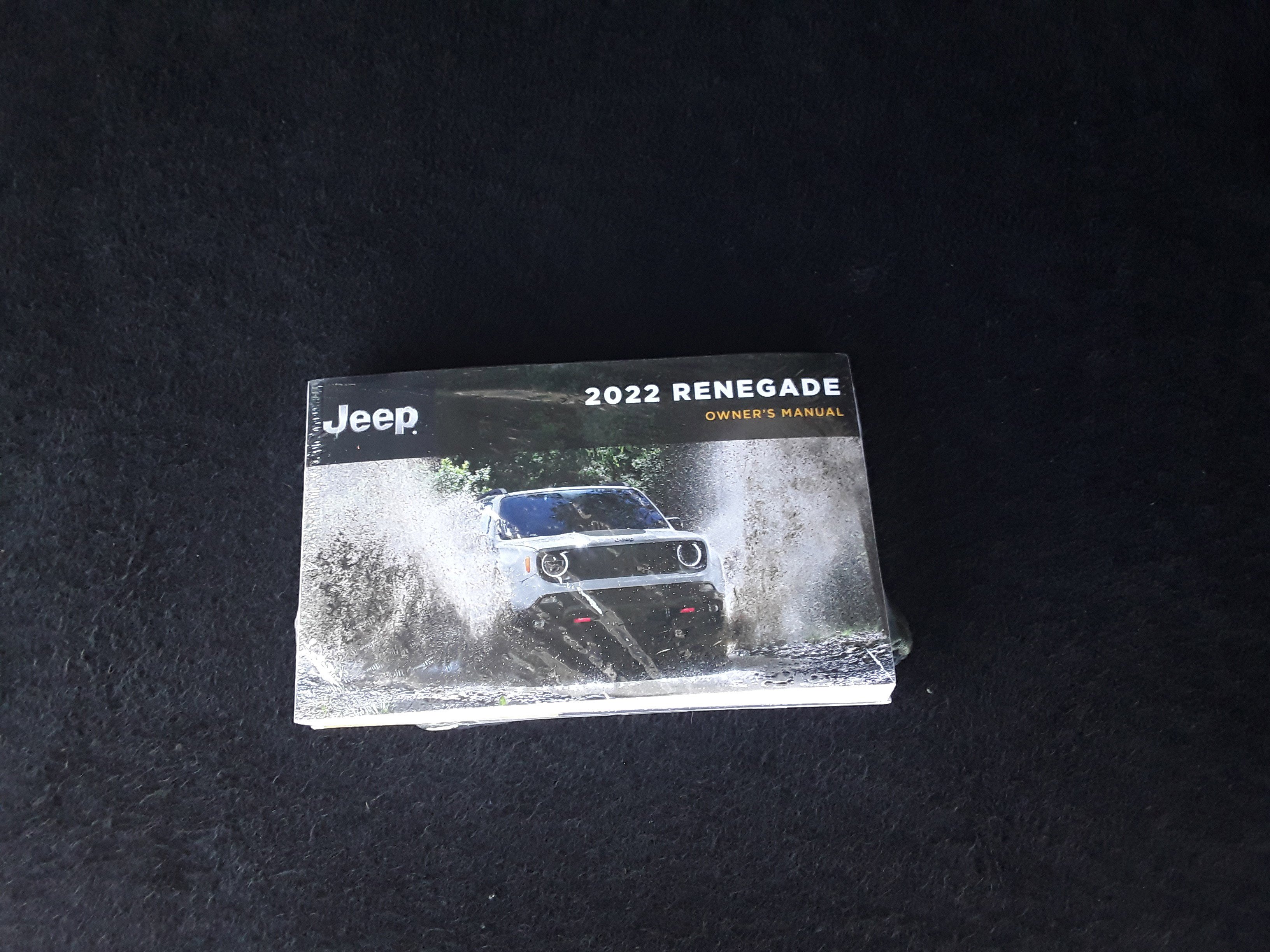 Showcase Image