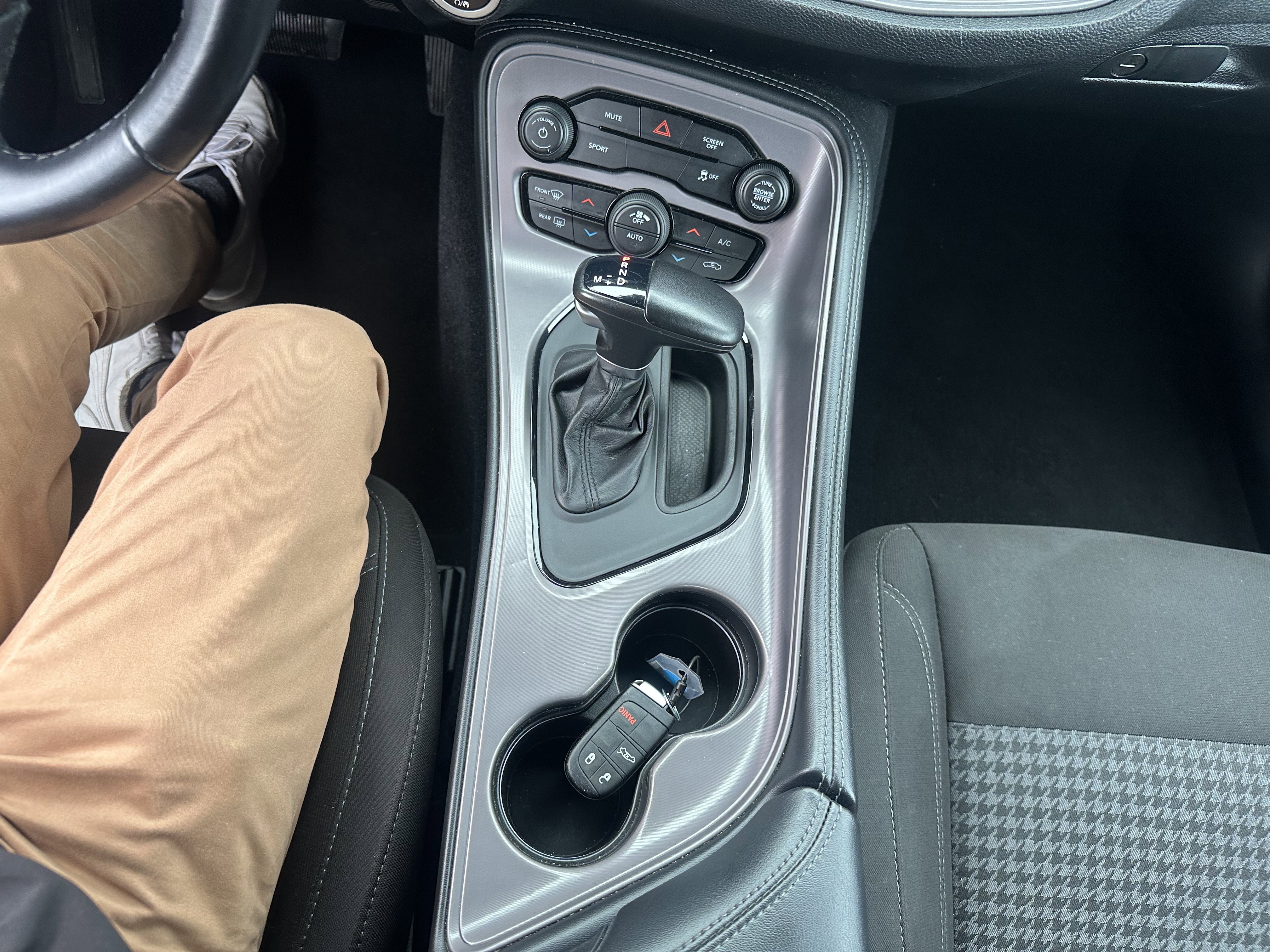 Showcase Image