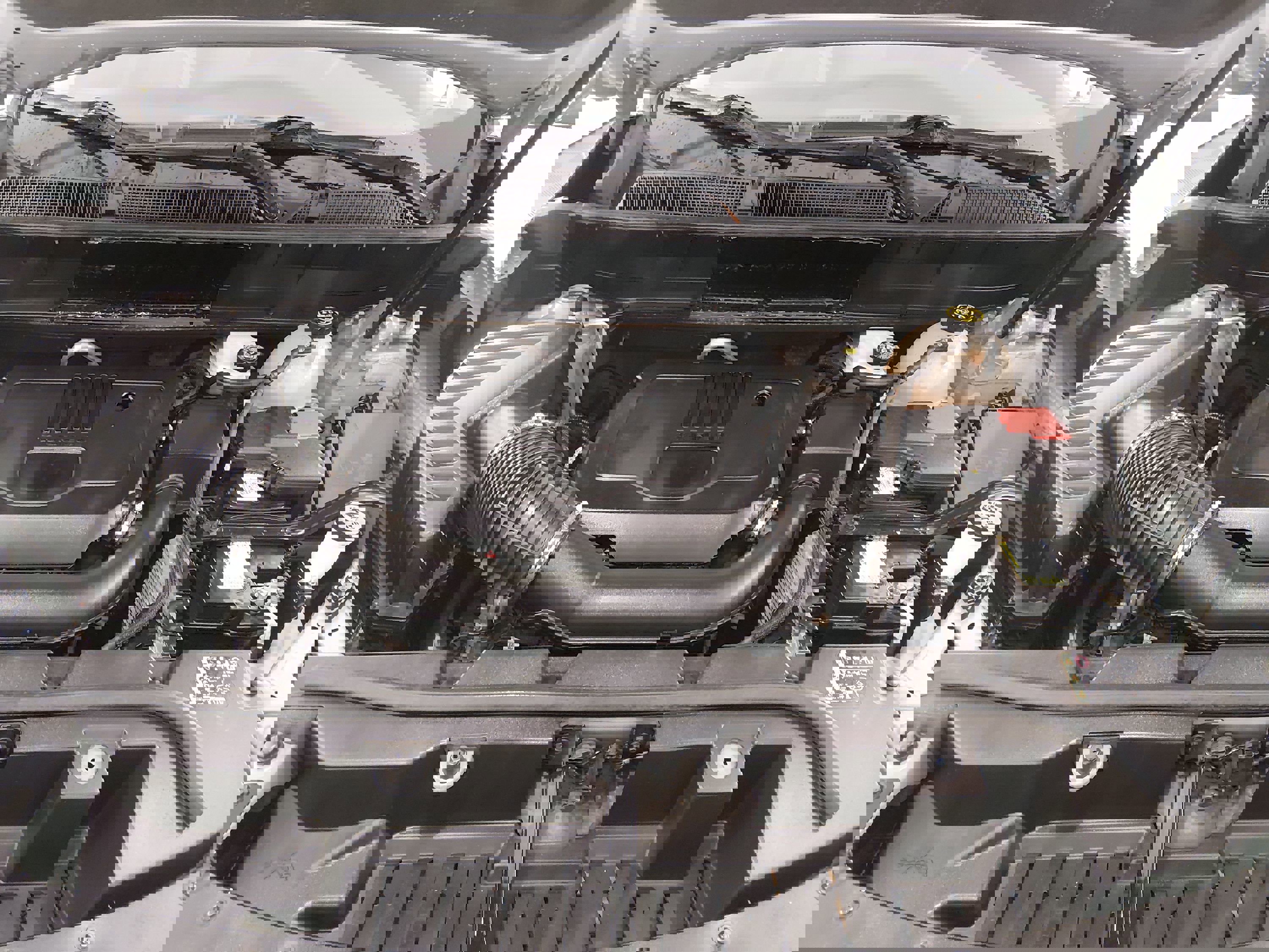 Showcase Image