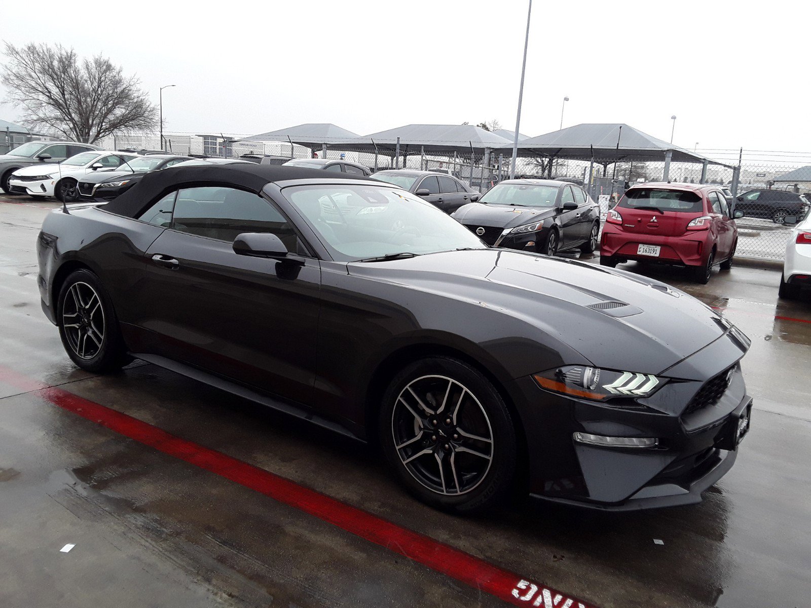 2023 Ford Mustang EcoBoost Convertible