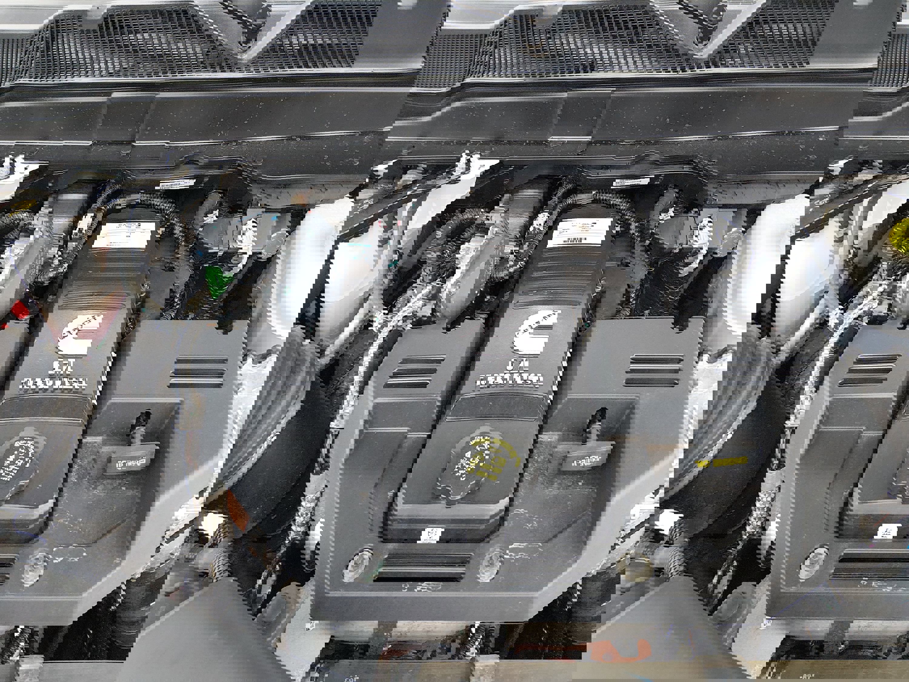 Showcase Image