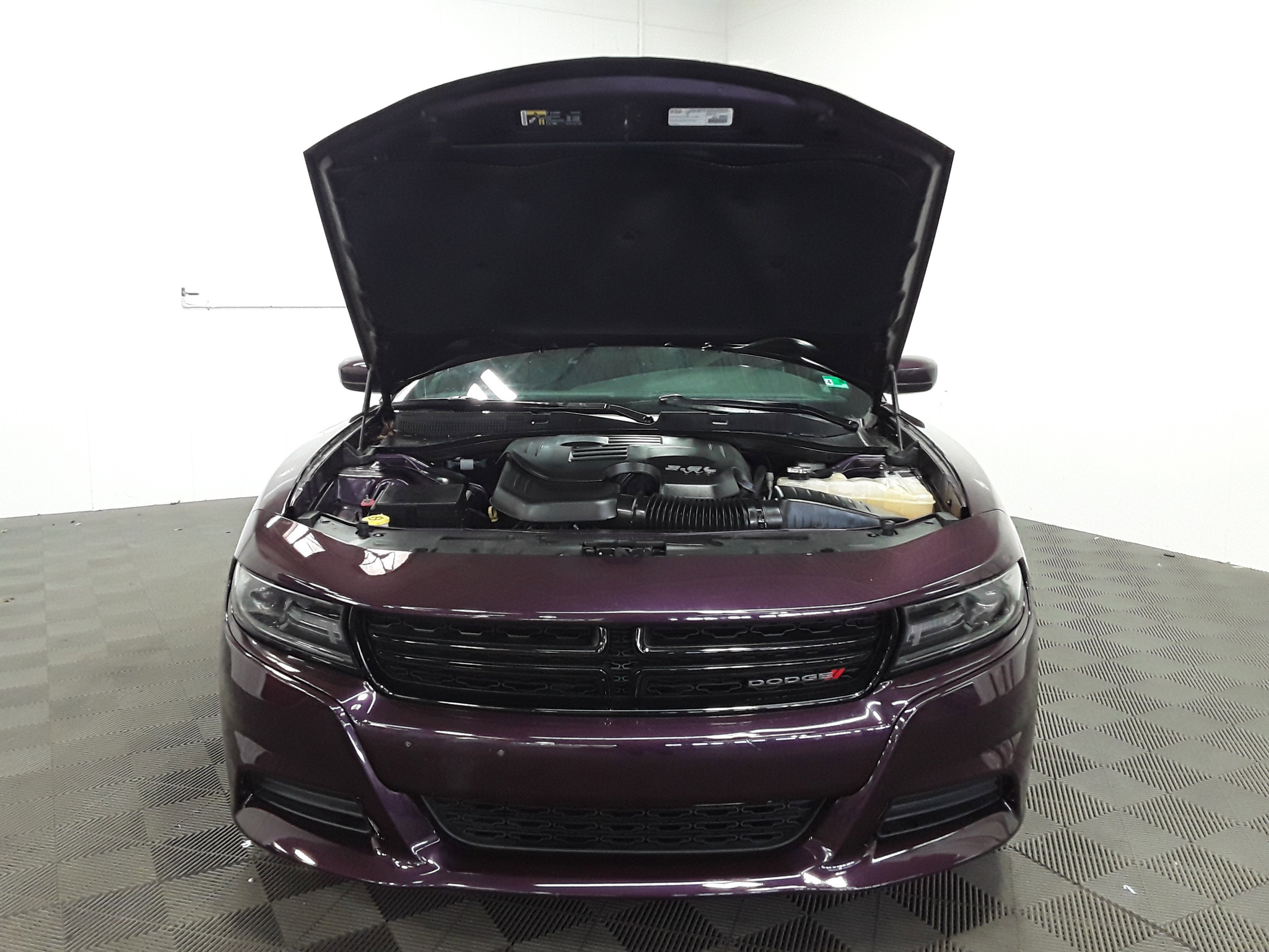 Showcase Image