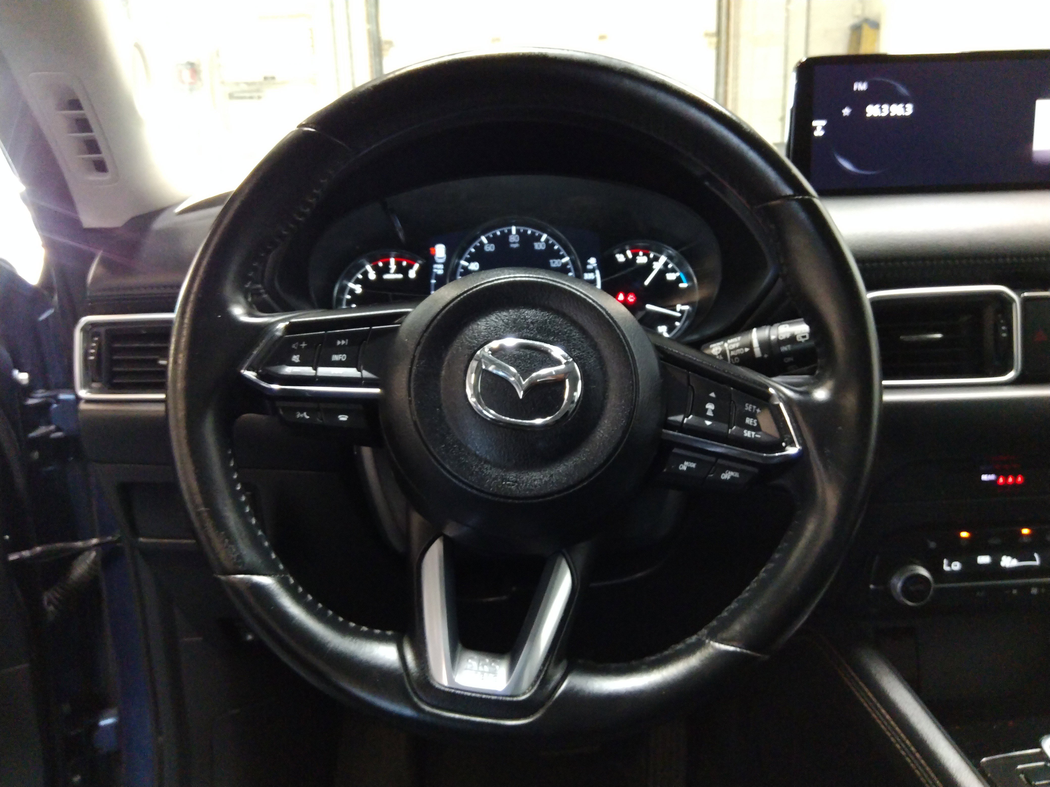 Showcase Image