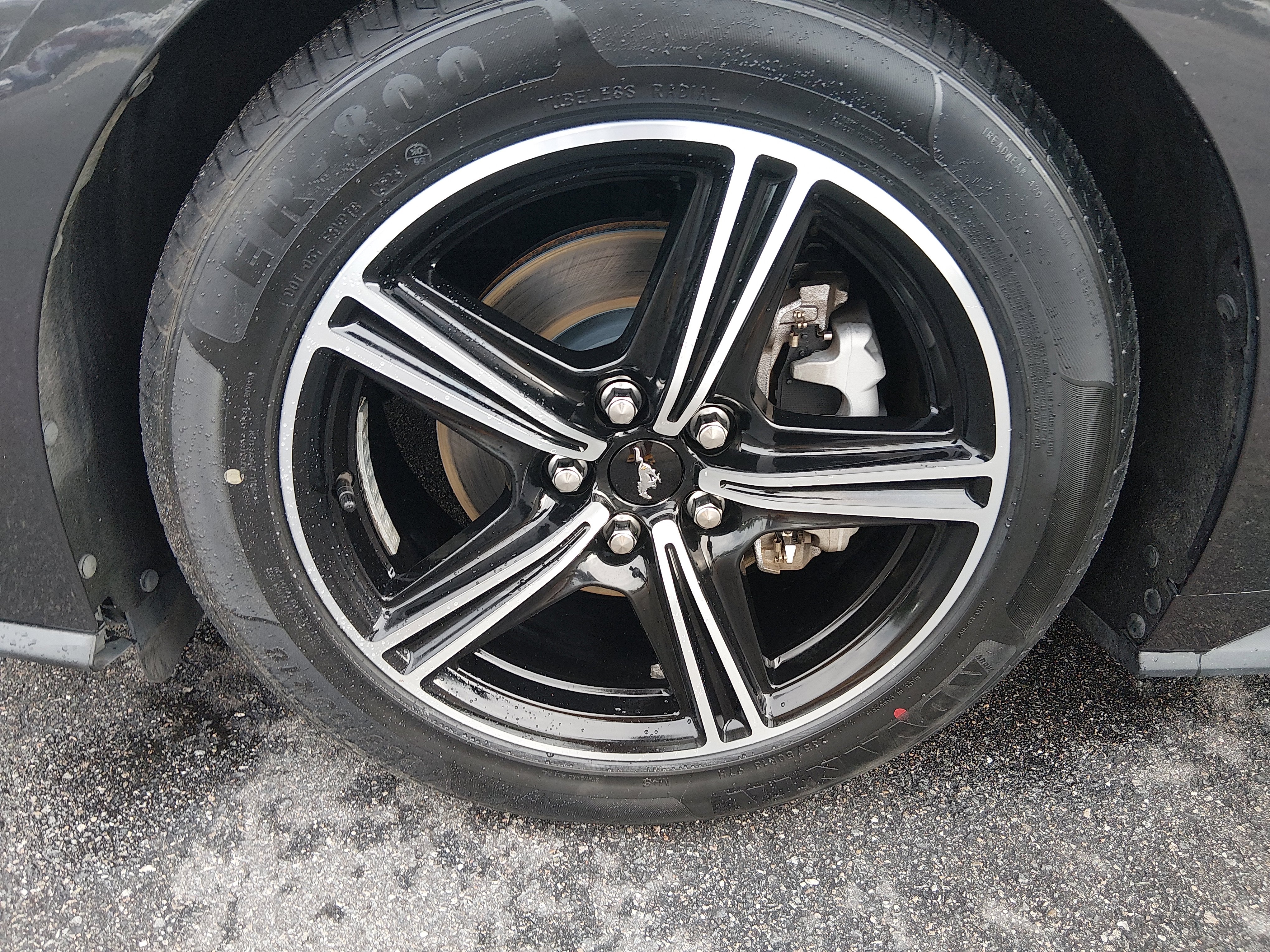Showcase Image