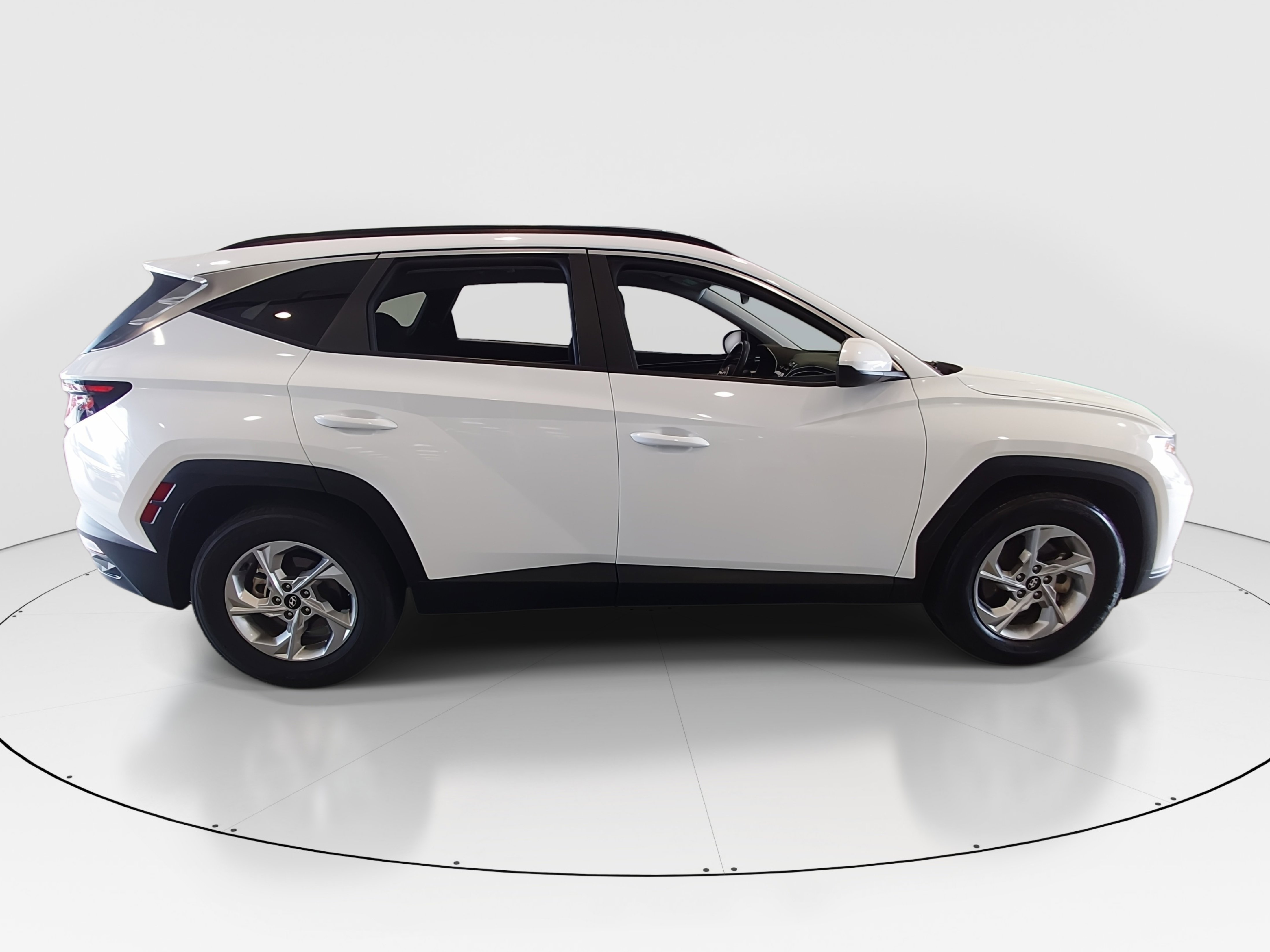Showcase Image