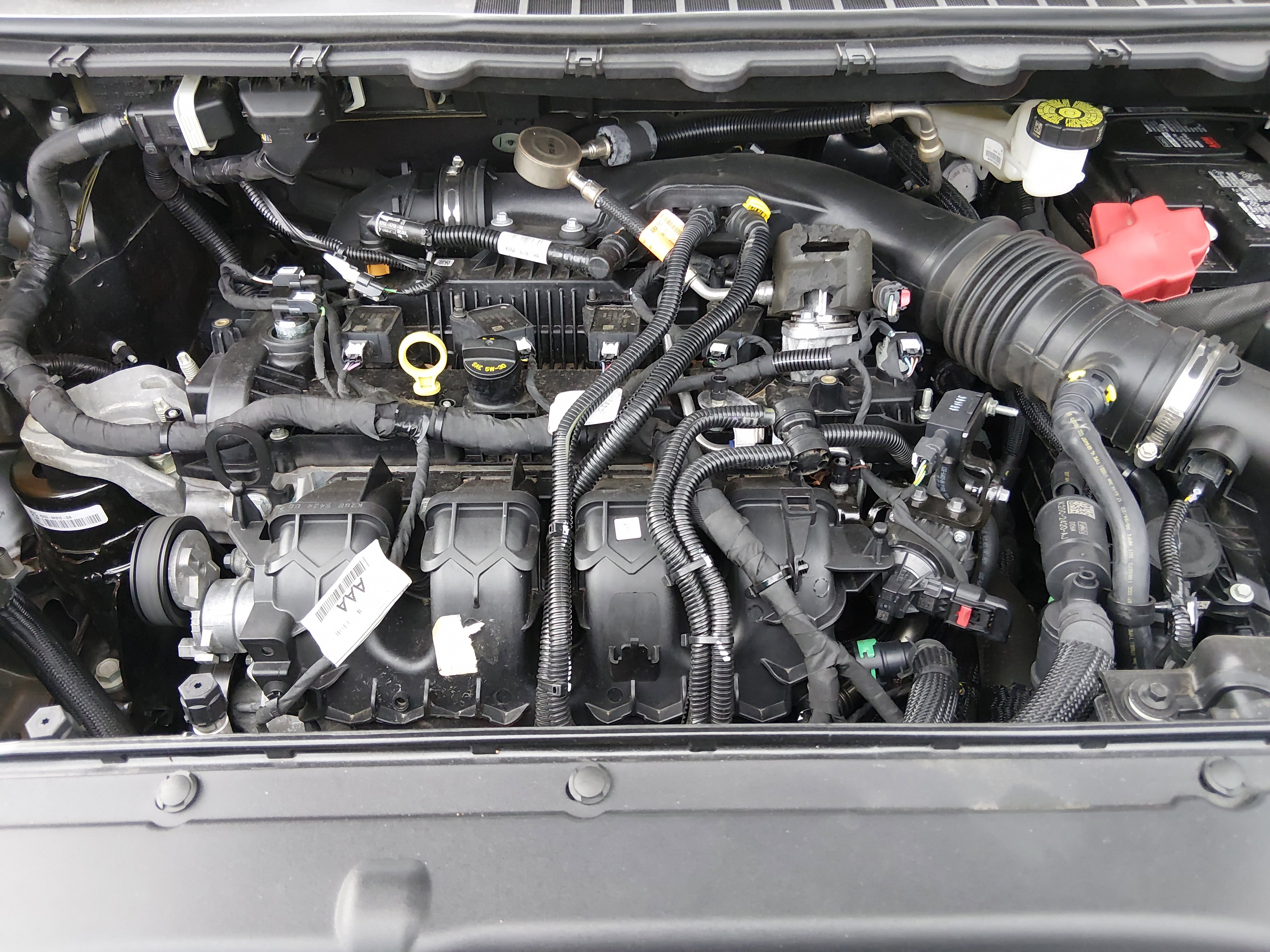 Showcase Image