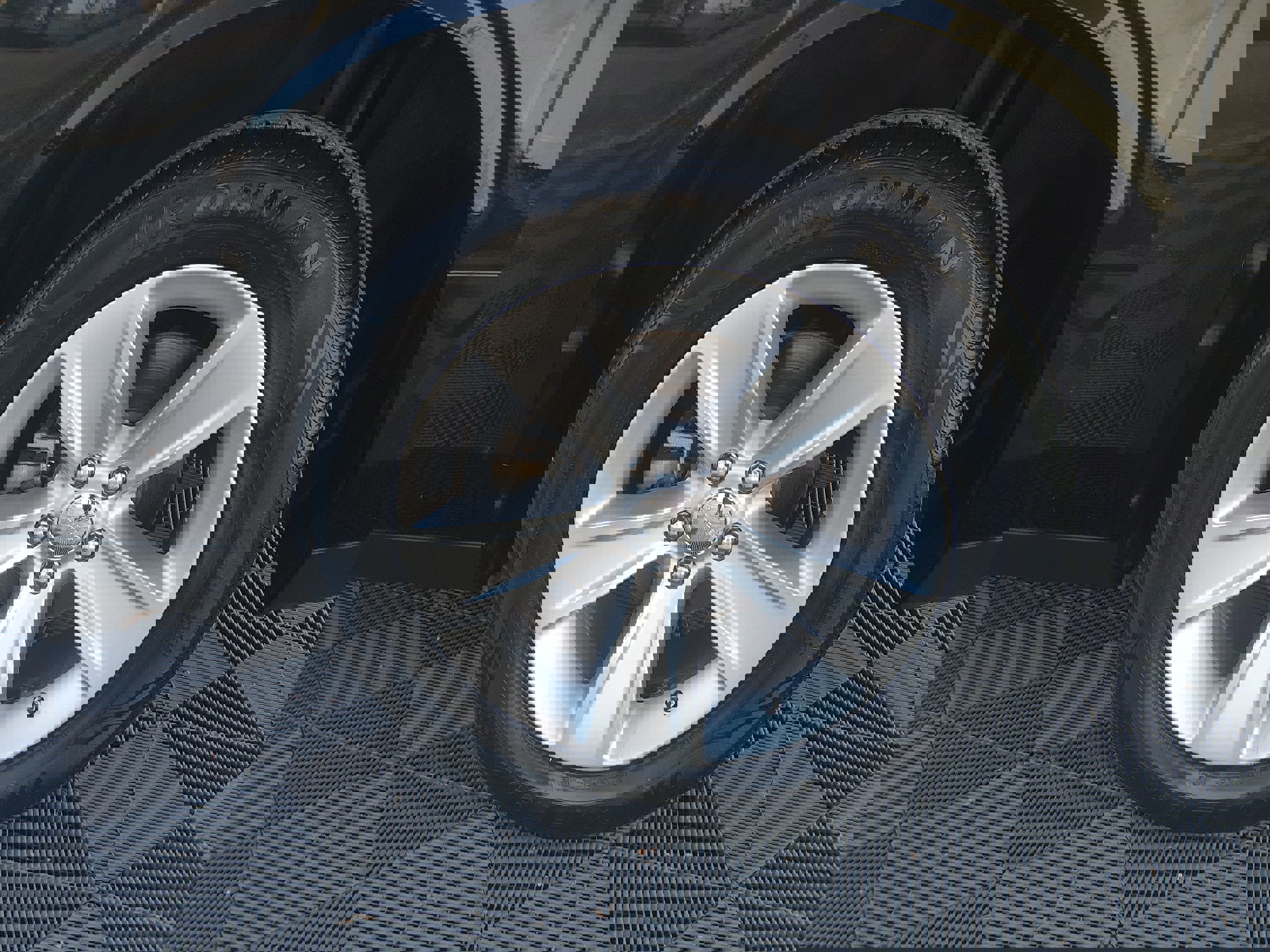 Showcase Image