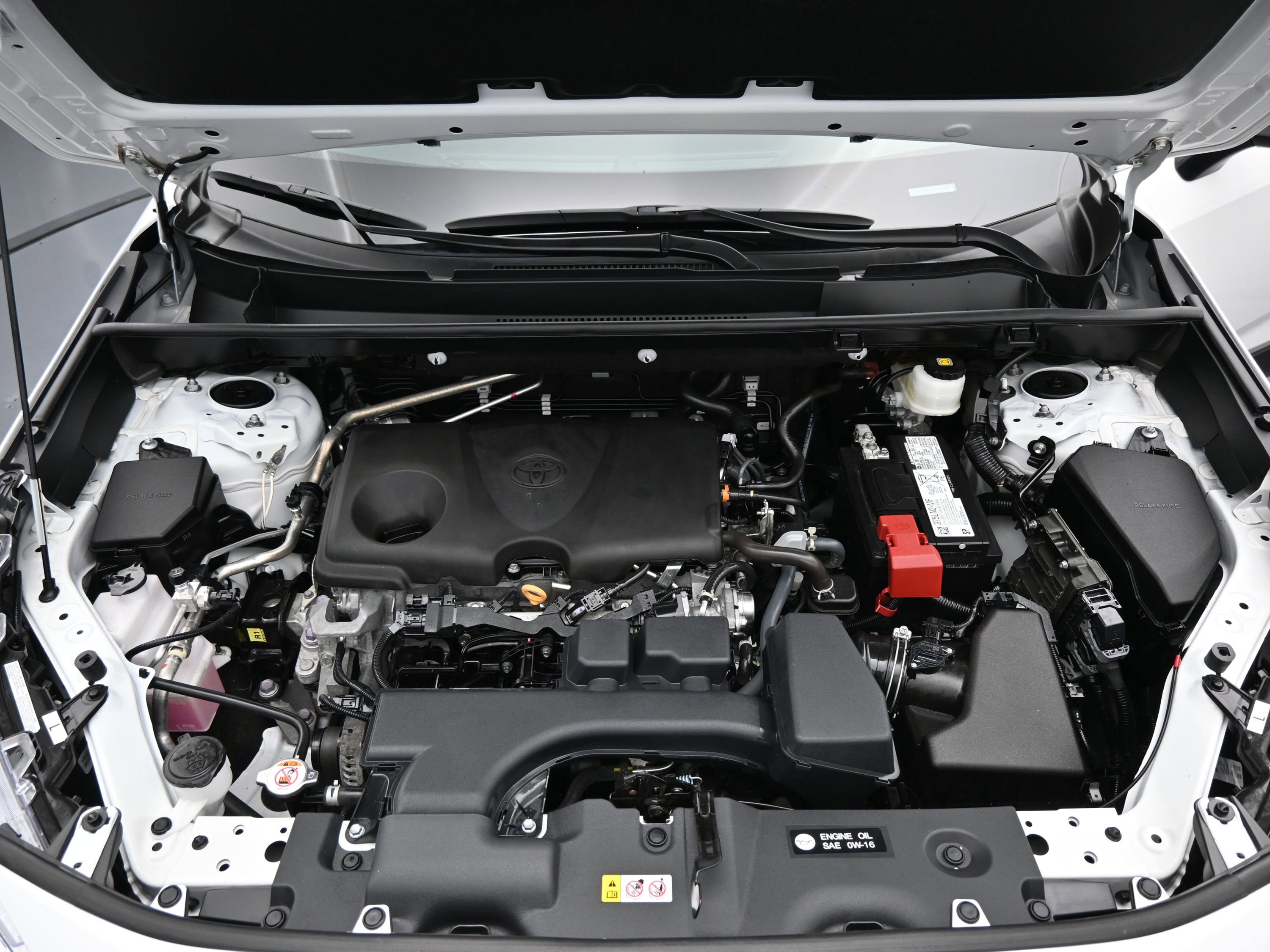 Showcase Image