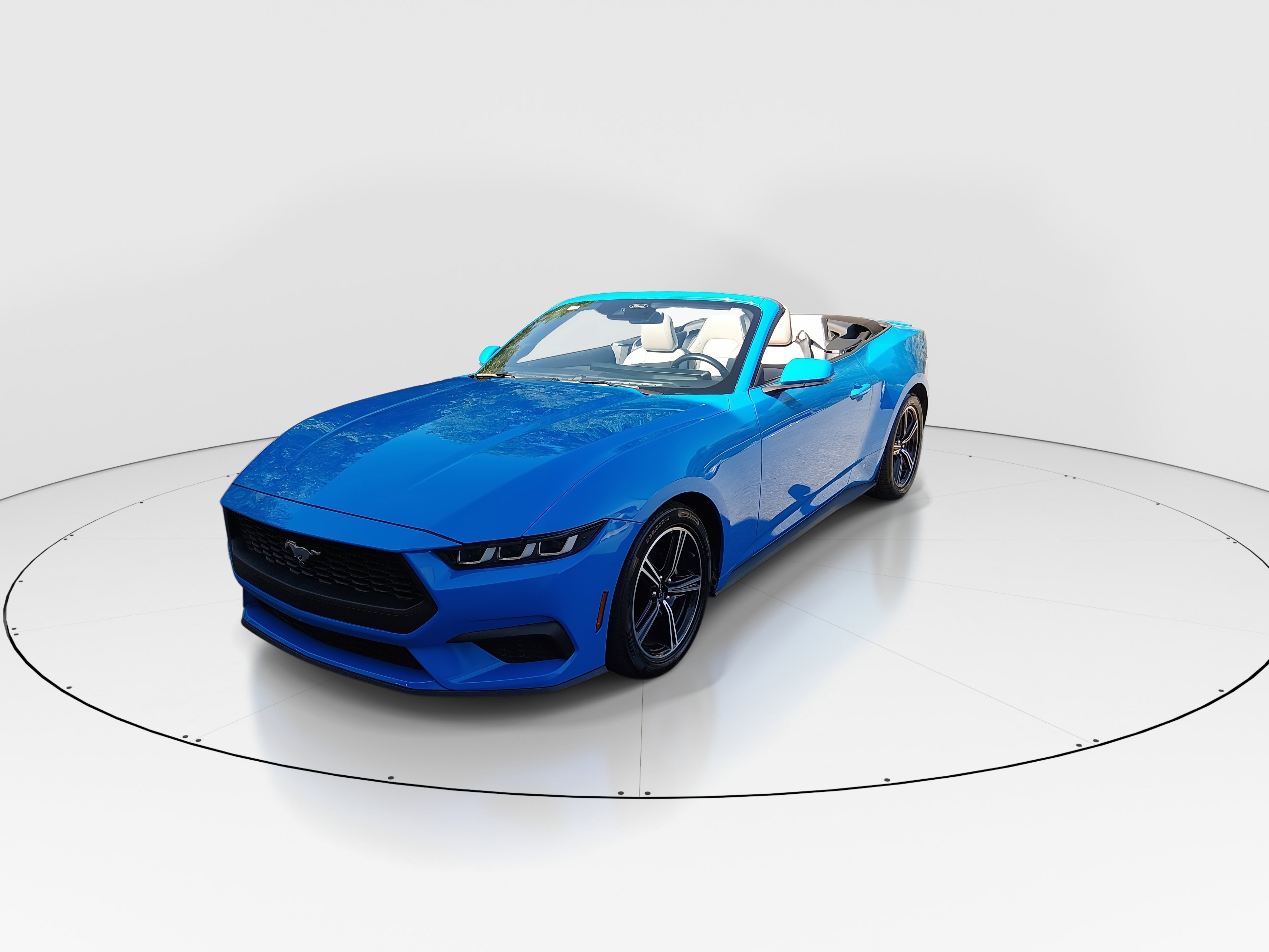 Showcase Image