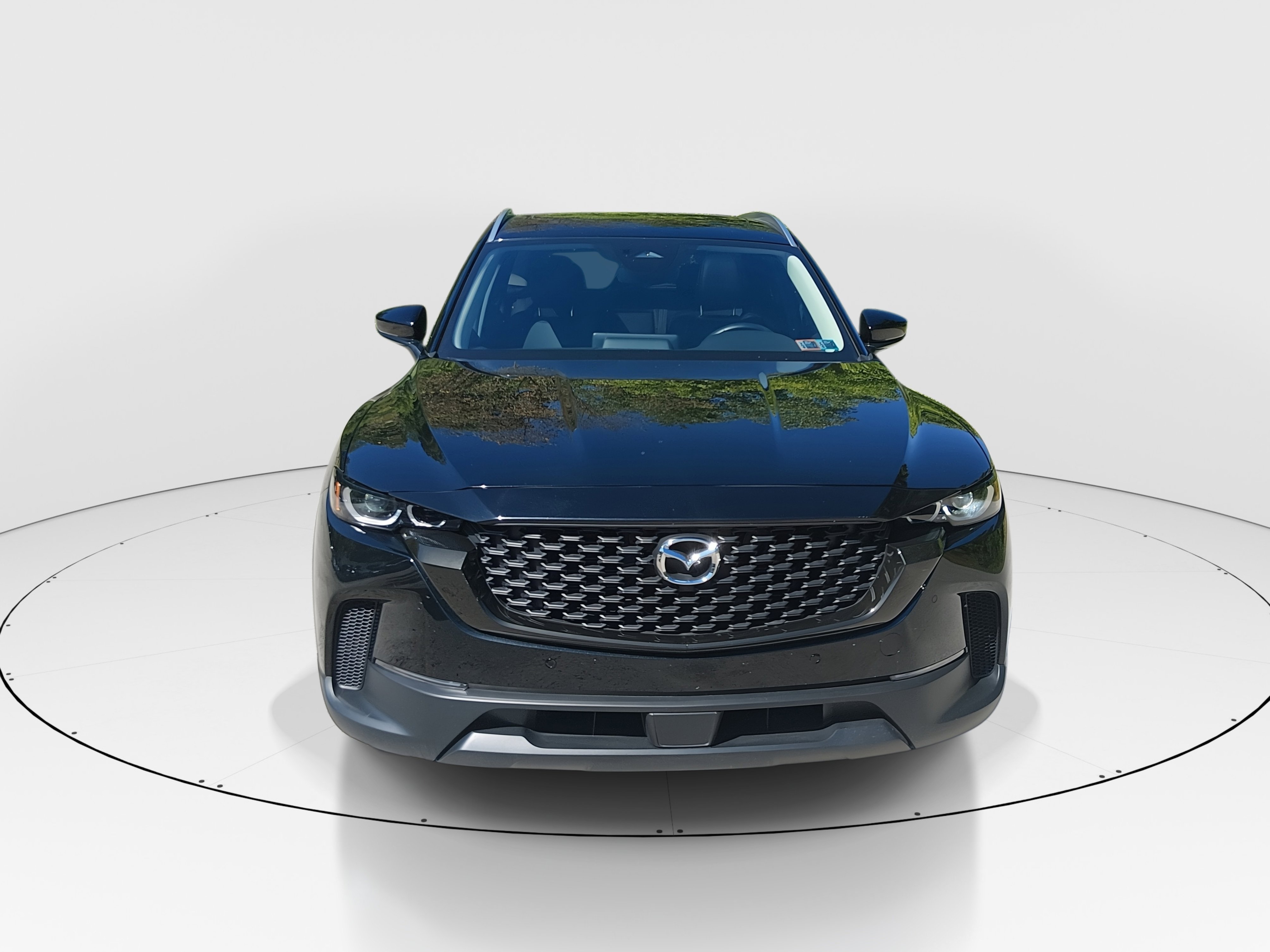 Showcase Image
