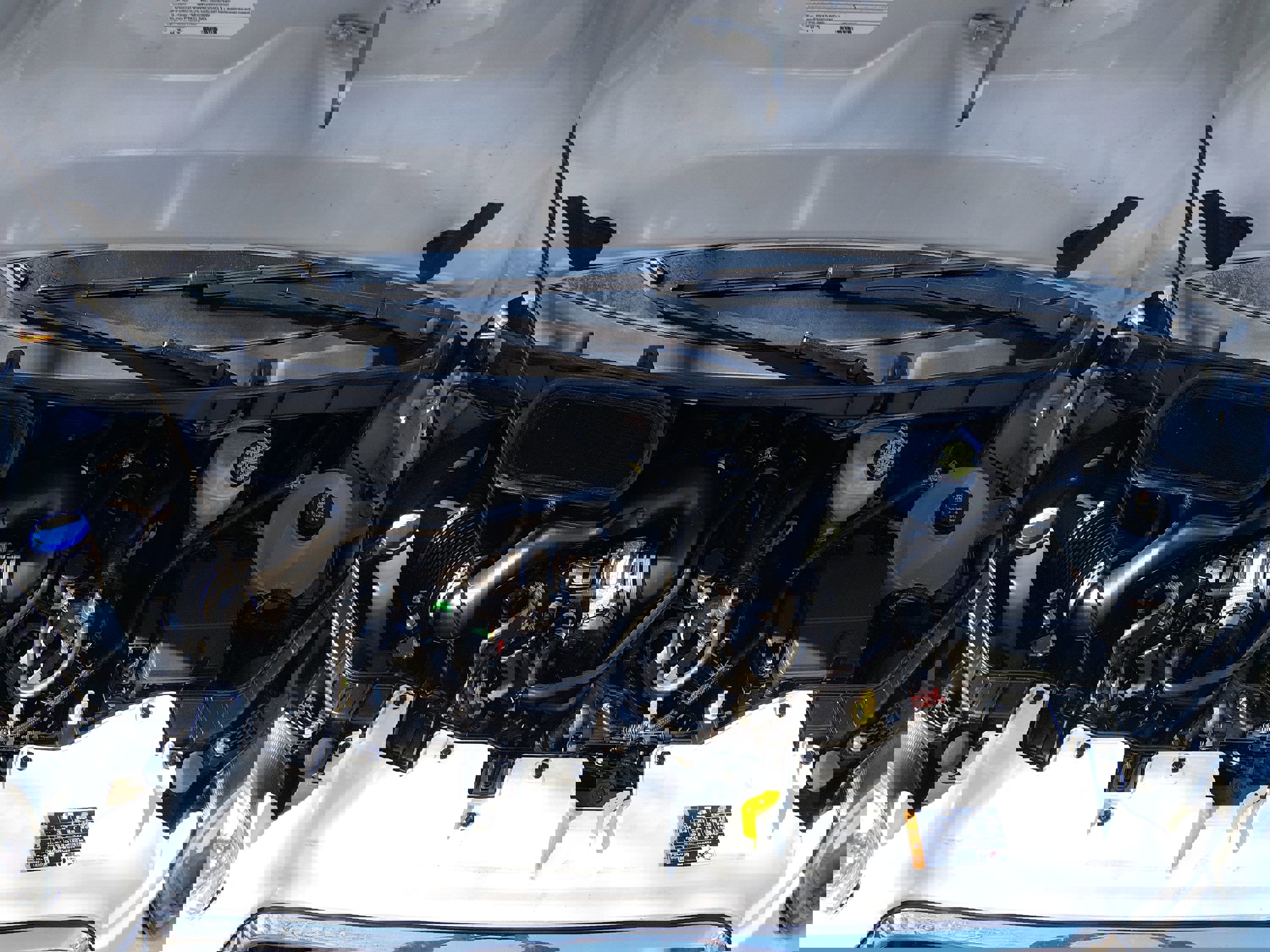 Image of Used 2023 Ford Transit Passenger Wagon T-350 148" Low Roof XLT RWD