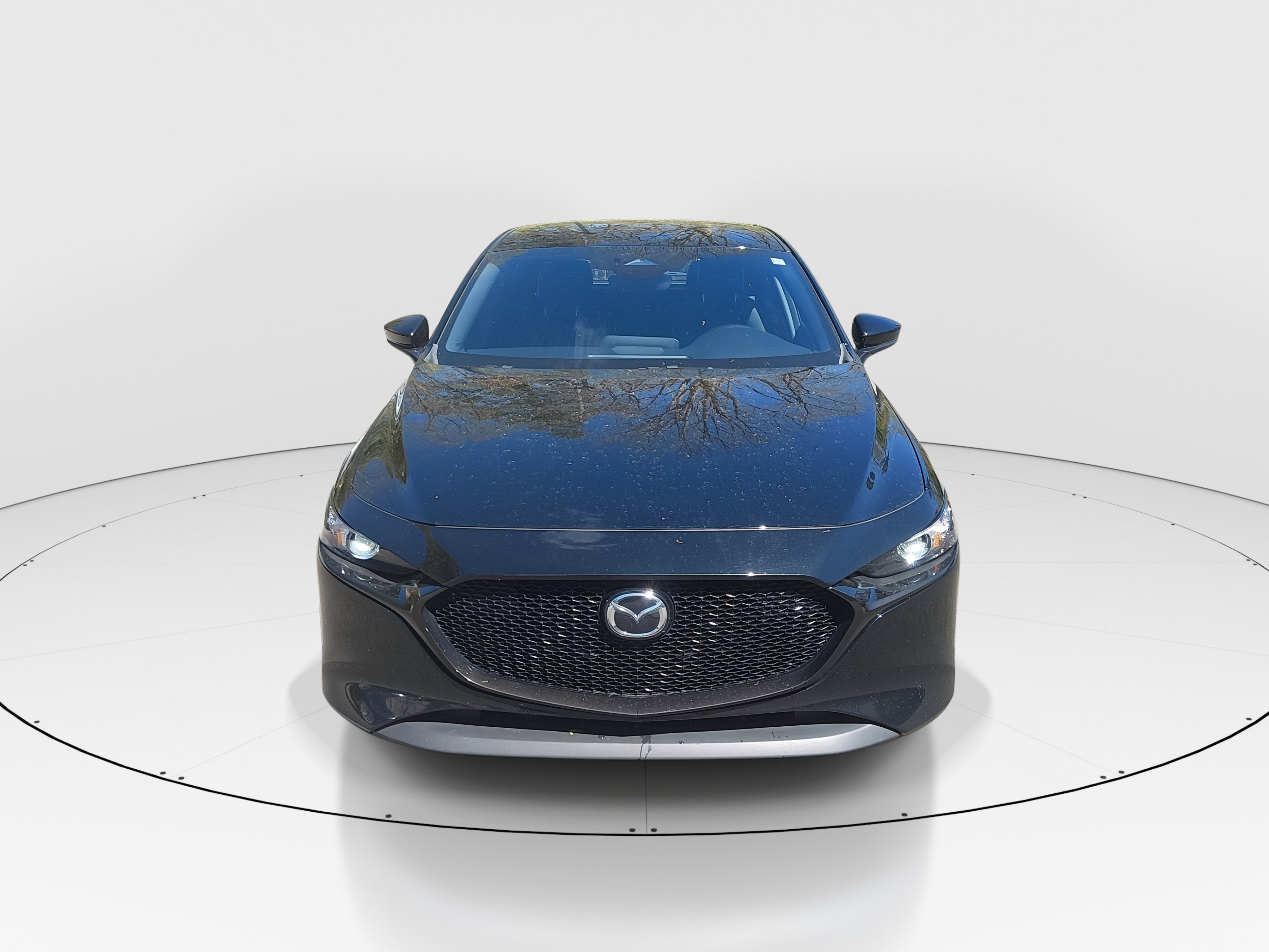 Showcase Image