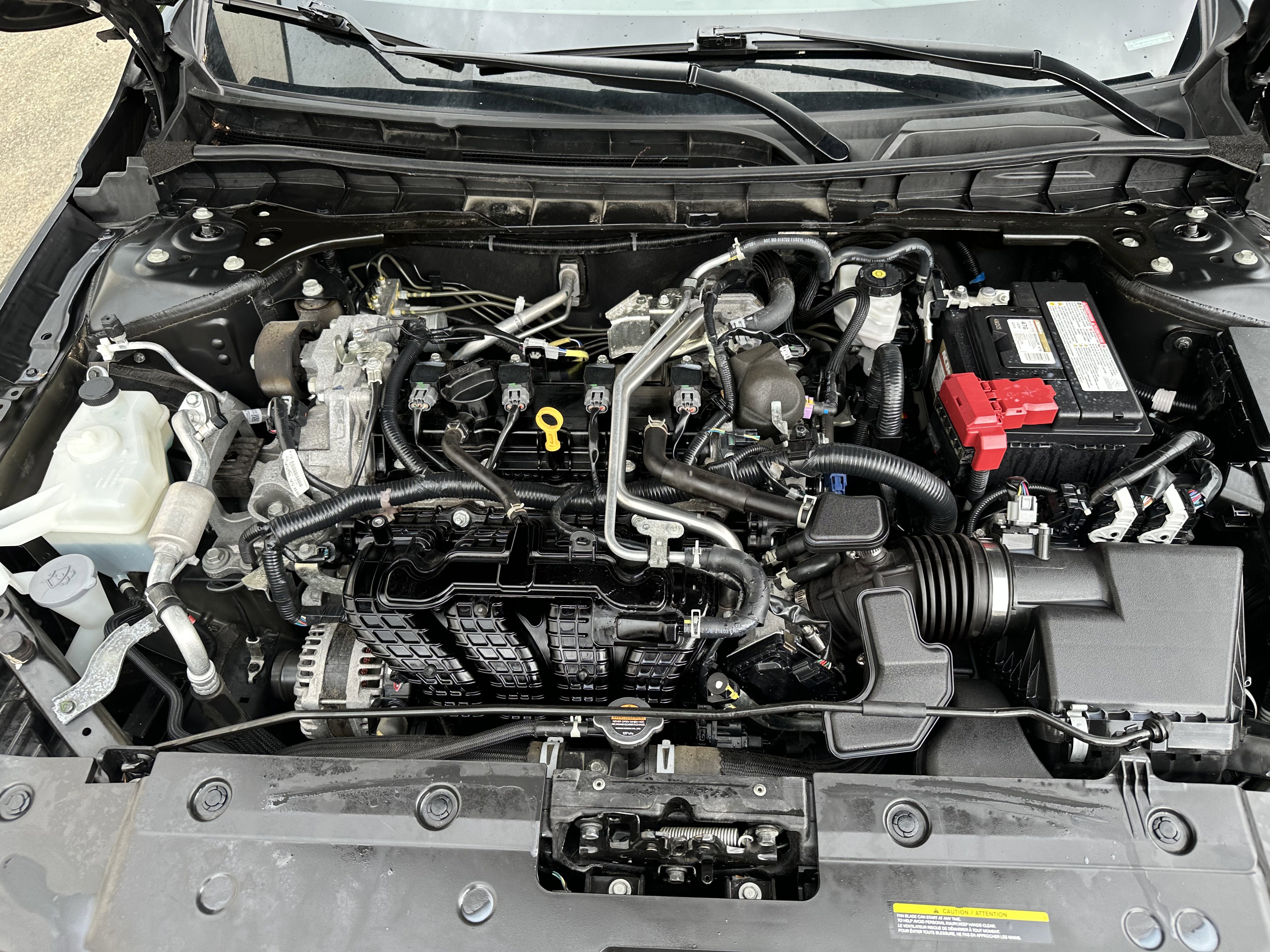 Showcase Image