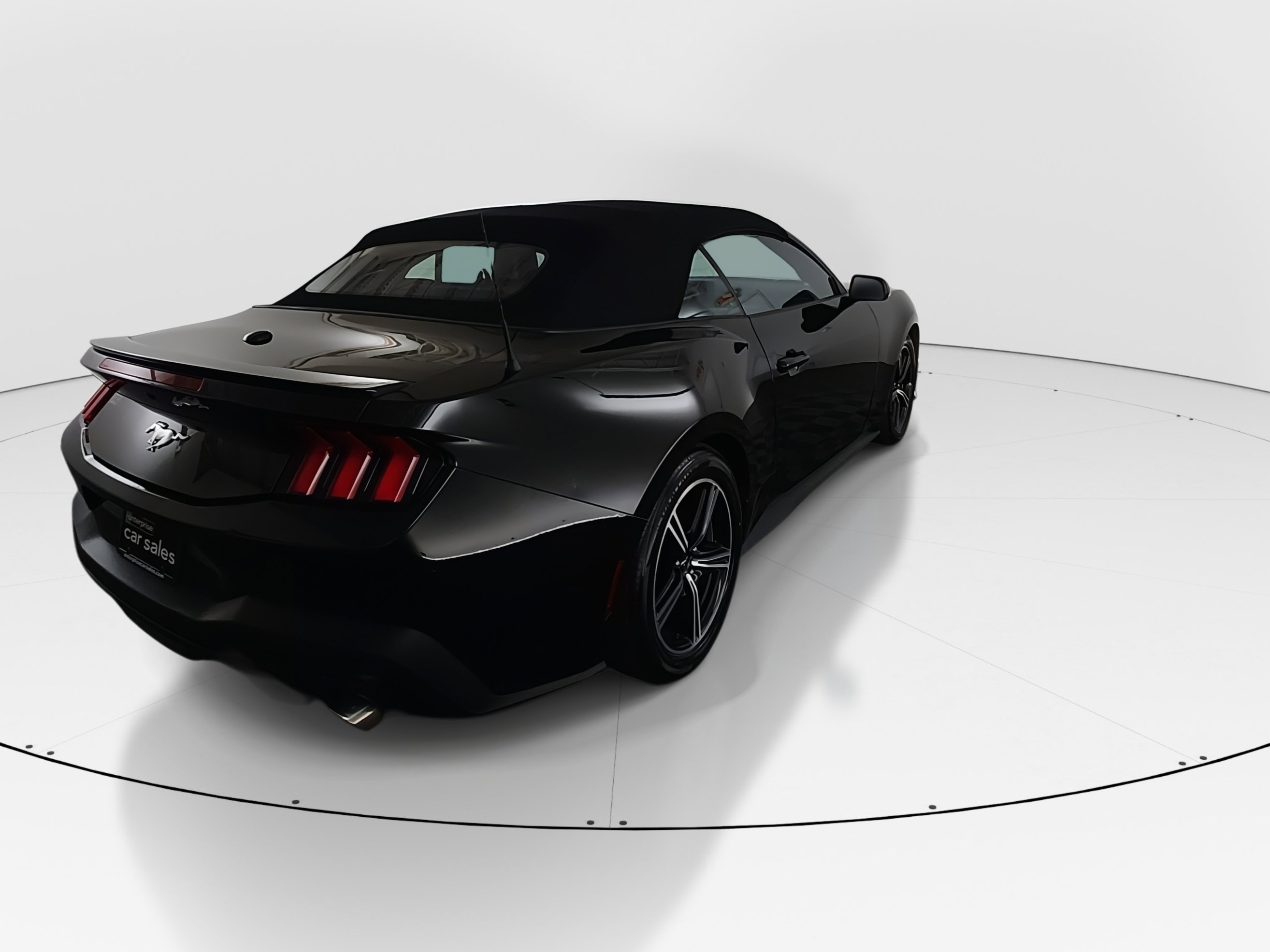 Showcase Image