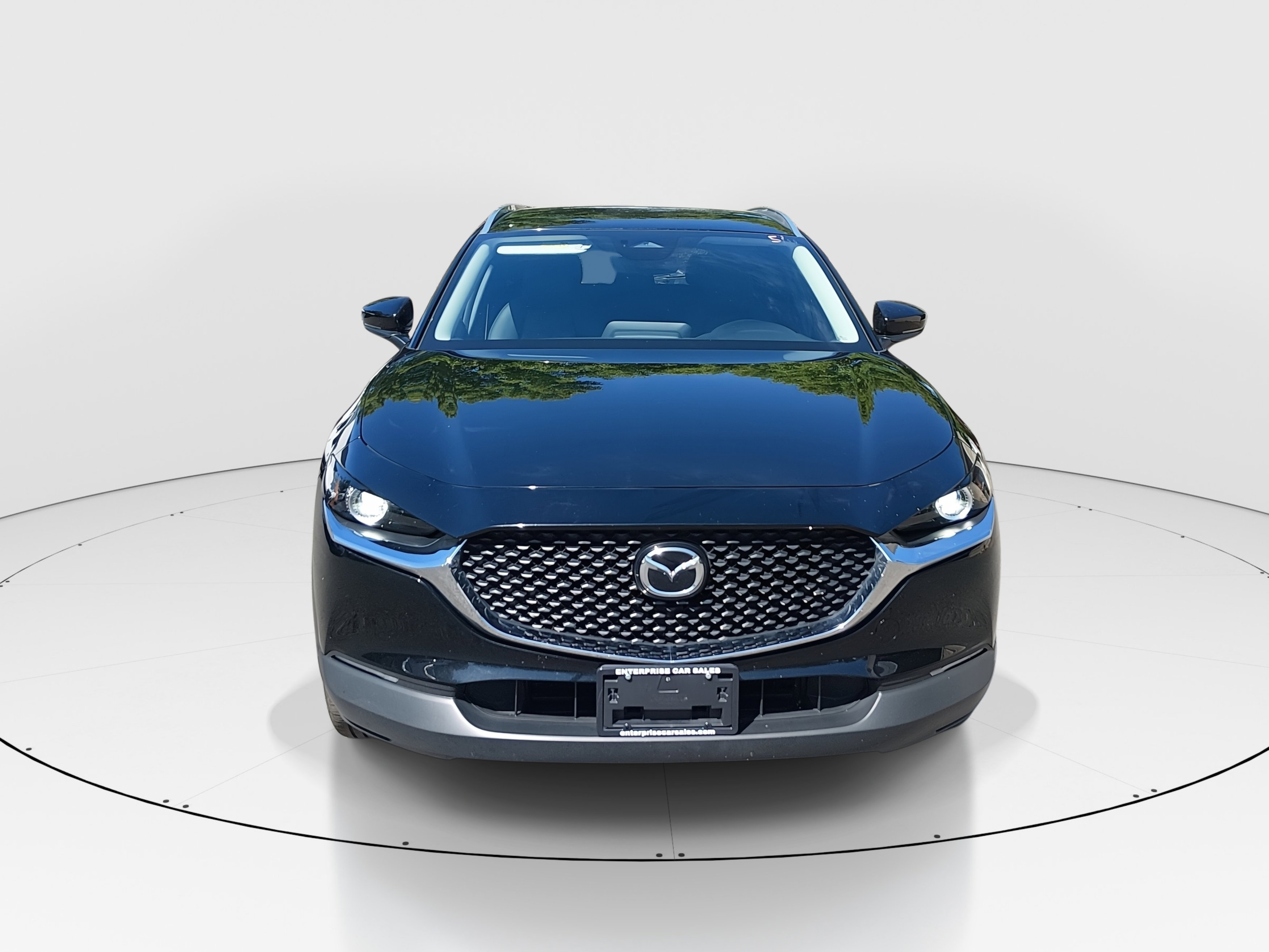 Showcase Image