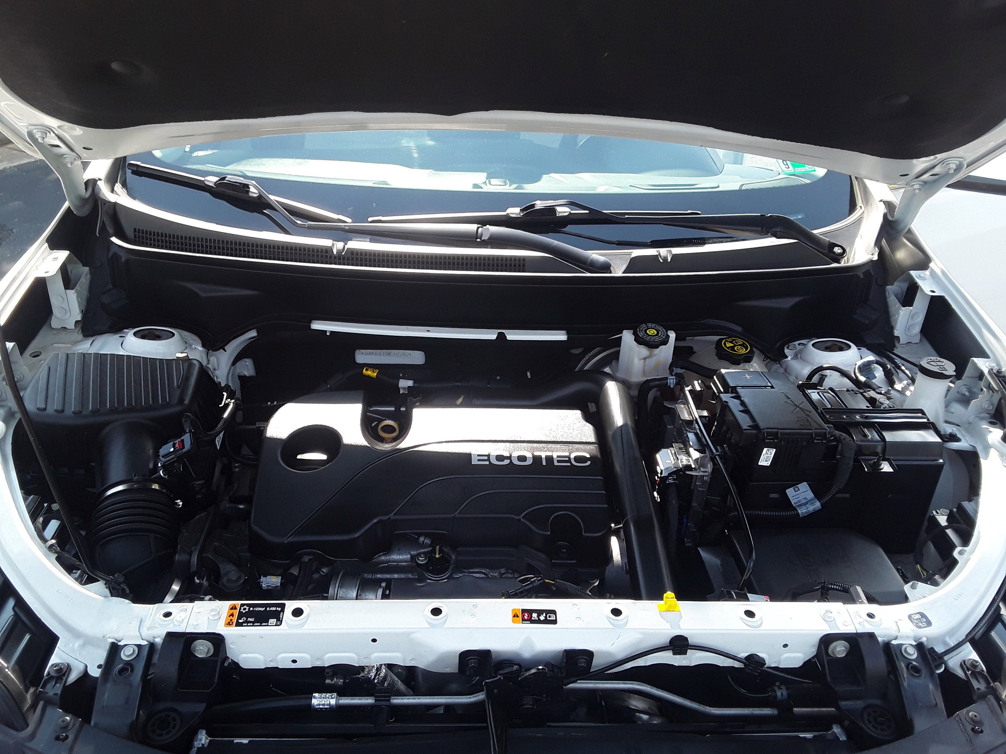 Showcase Image
