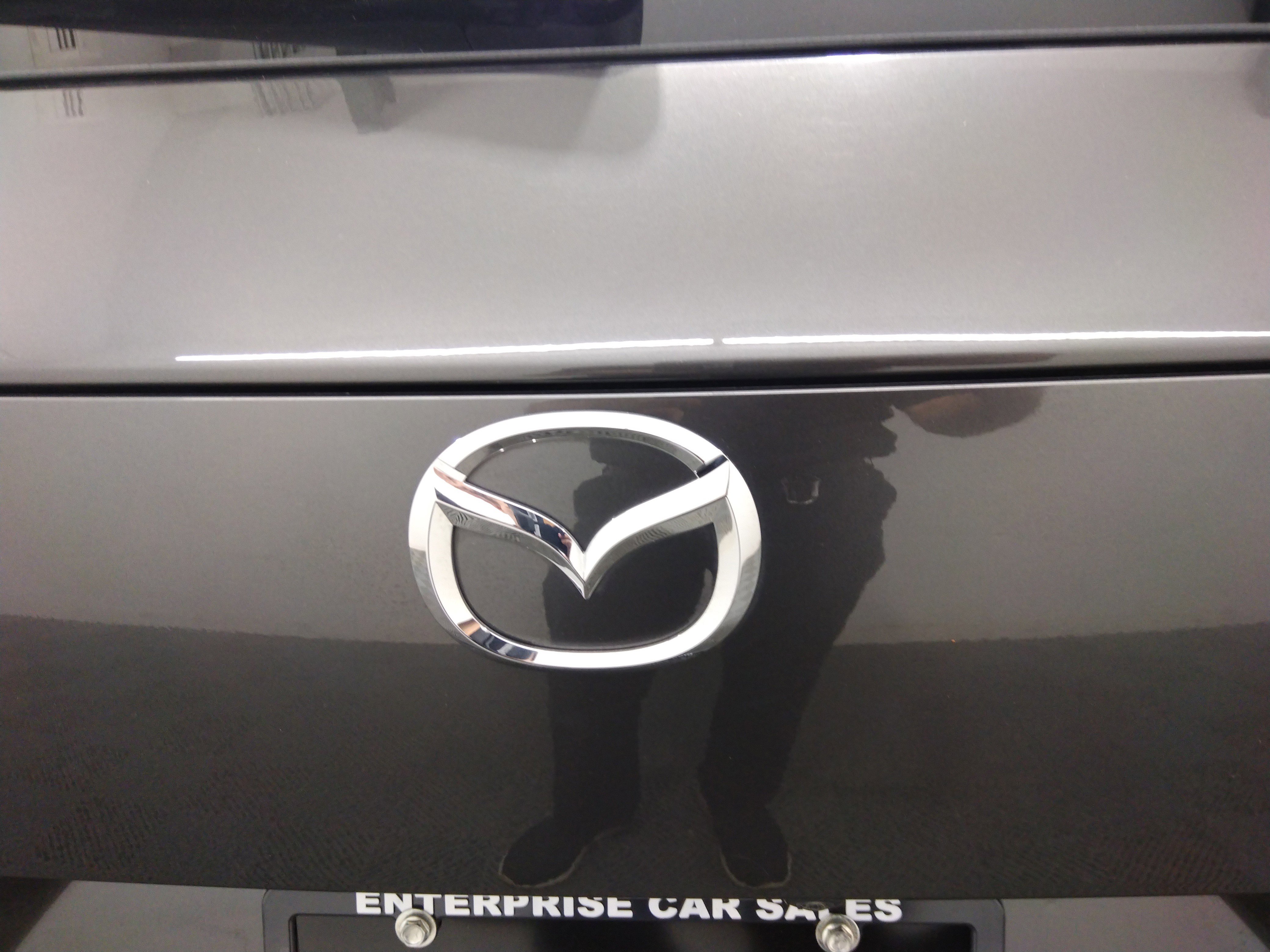 Showcase Image