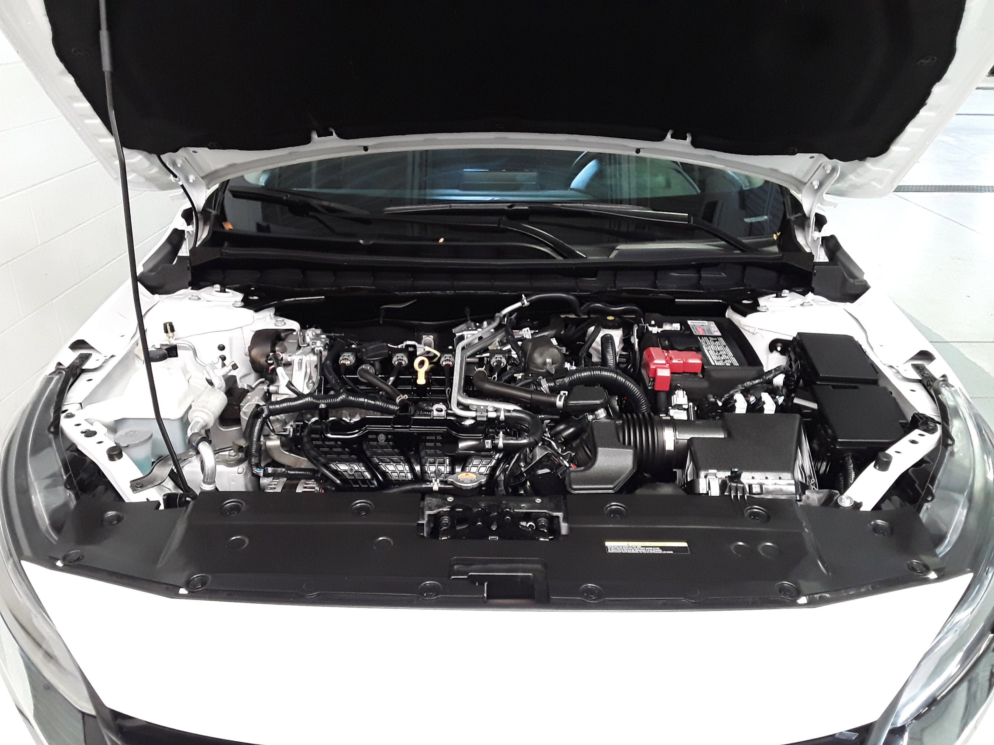 Showcase Image