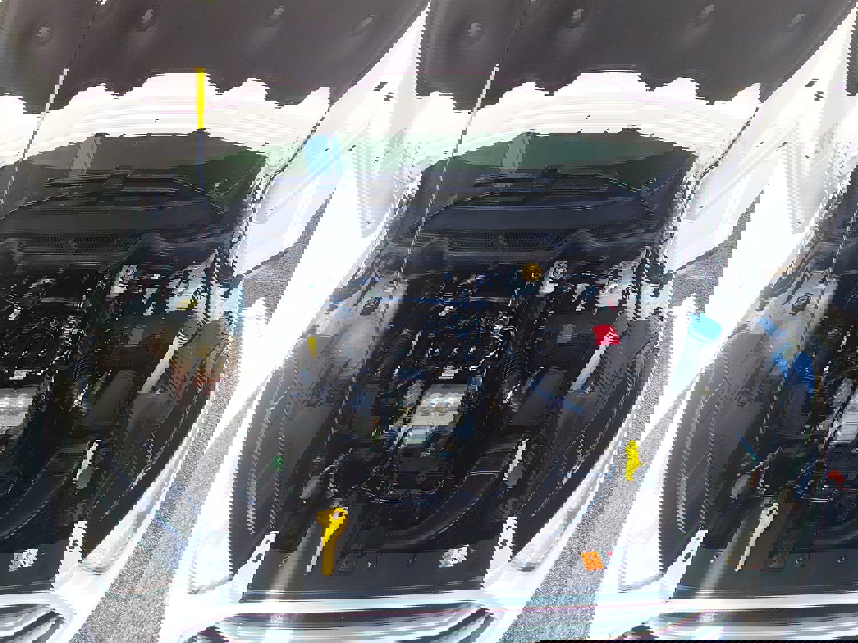 Showcase Image
